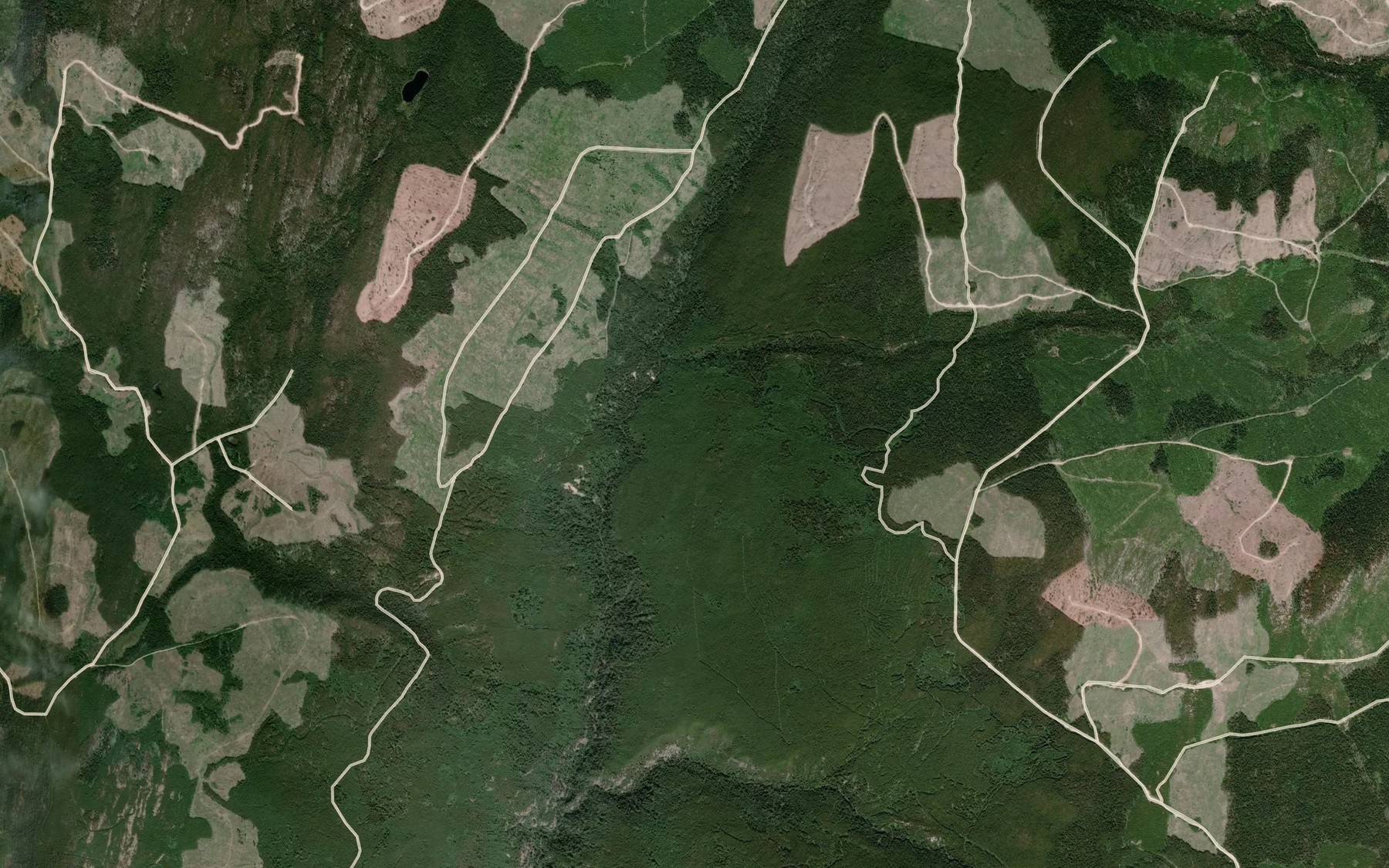 Satellite map of the Reed Creek