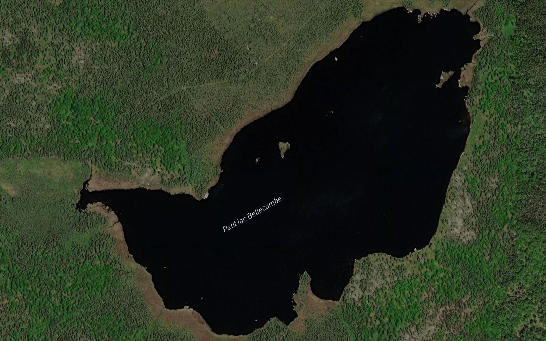Satellite map of the Petit lac Bellecombe