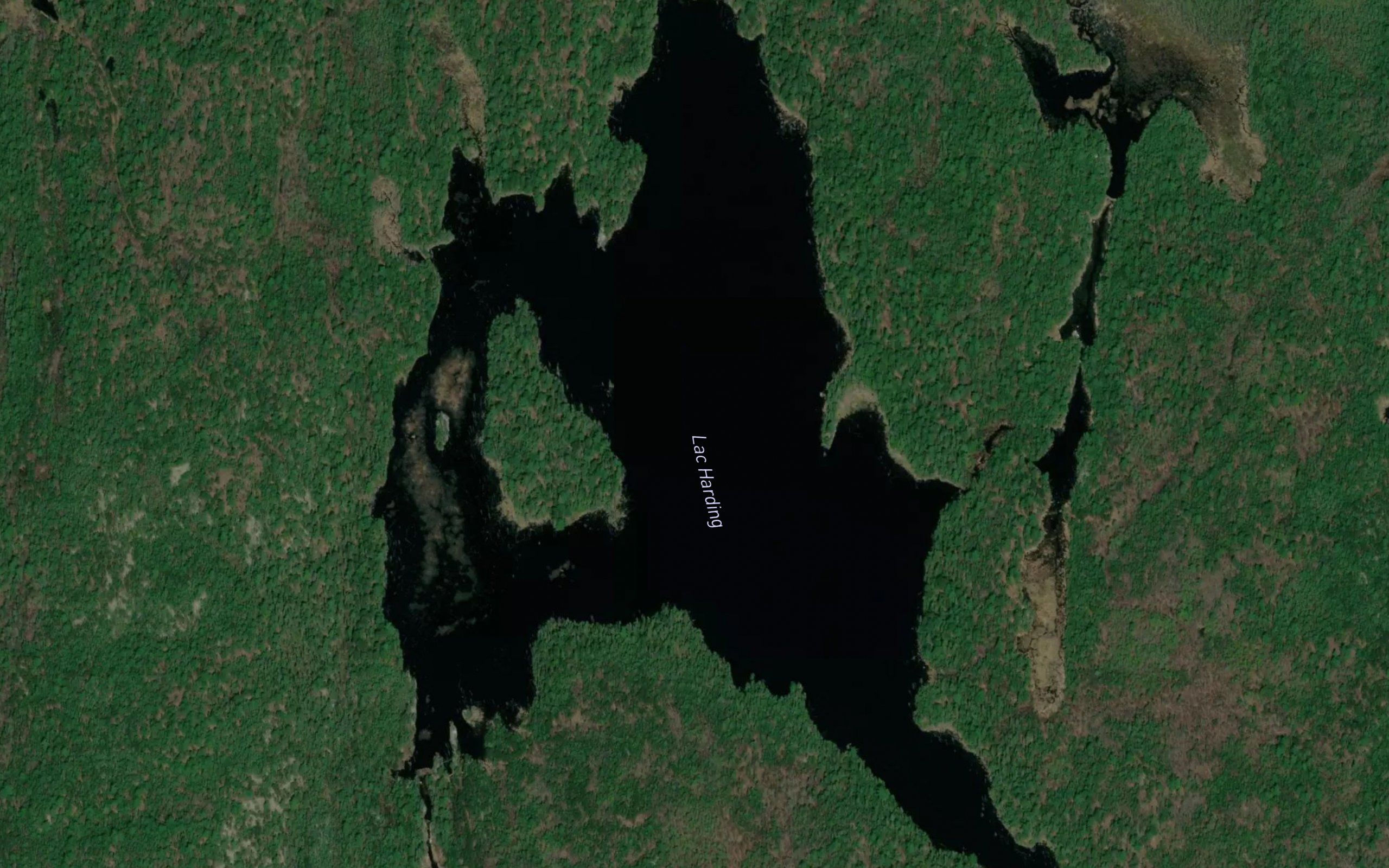 Lac Harding
