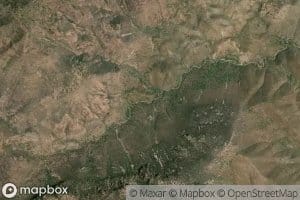 Canada La Rama Verde