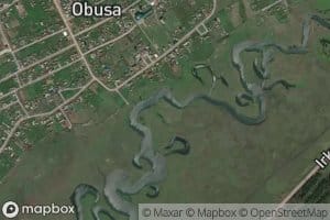 Obusa