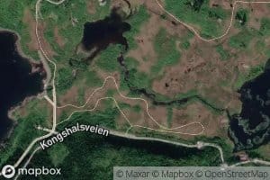 Kongselva