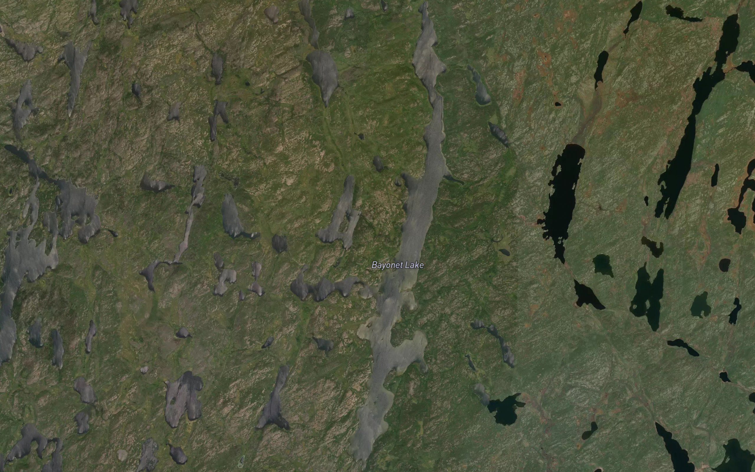 Bayonet Lake