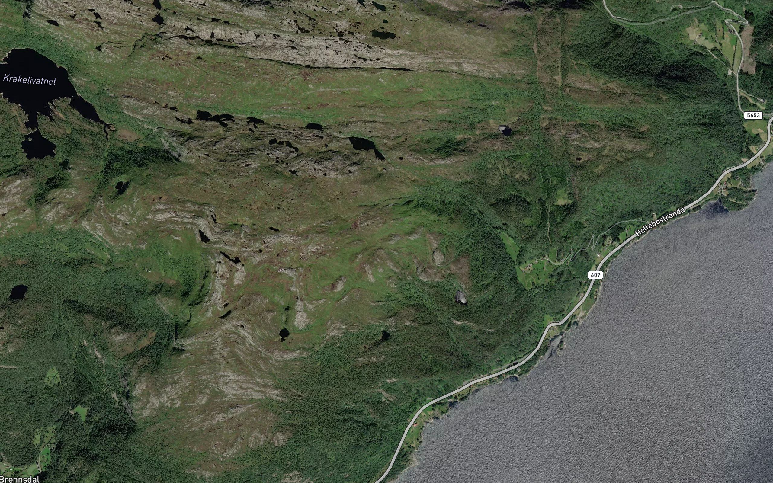 Hammartjorna