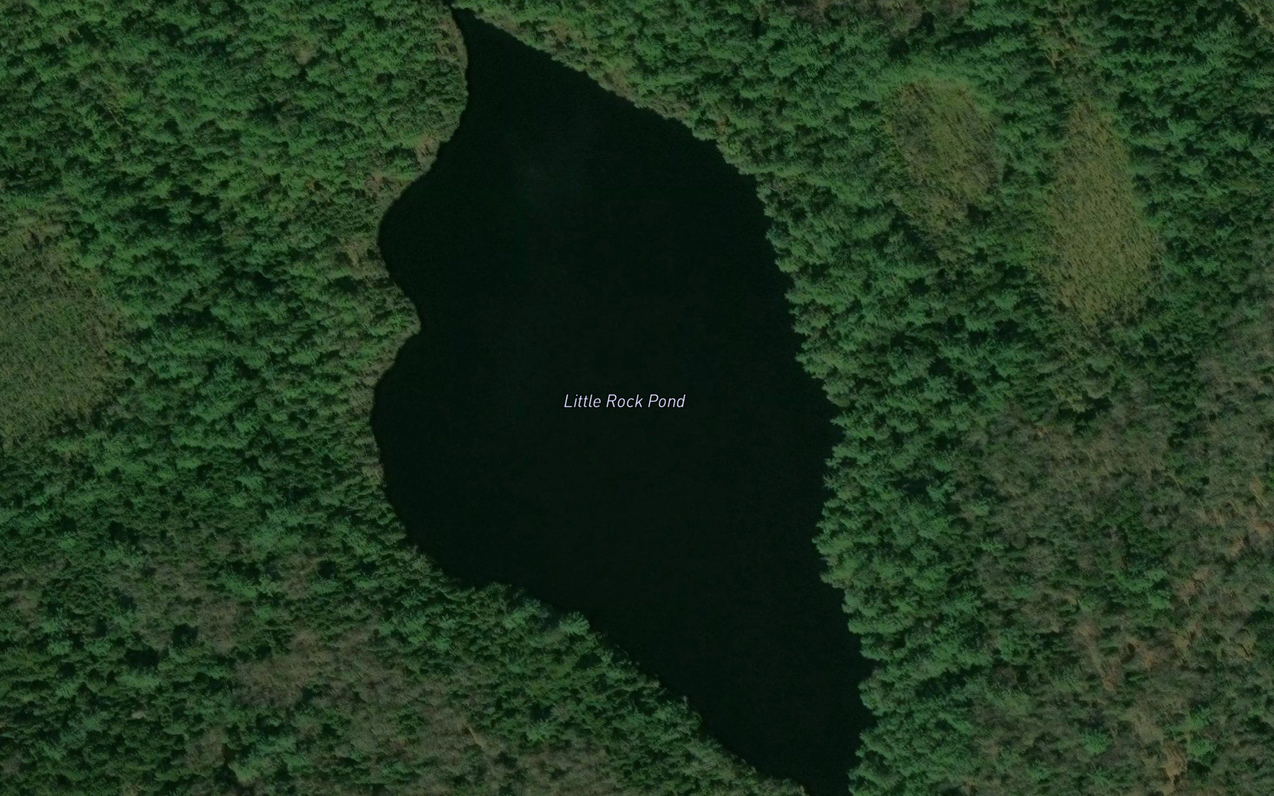 Little Rock Pond