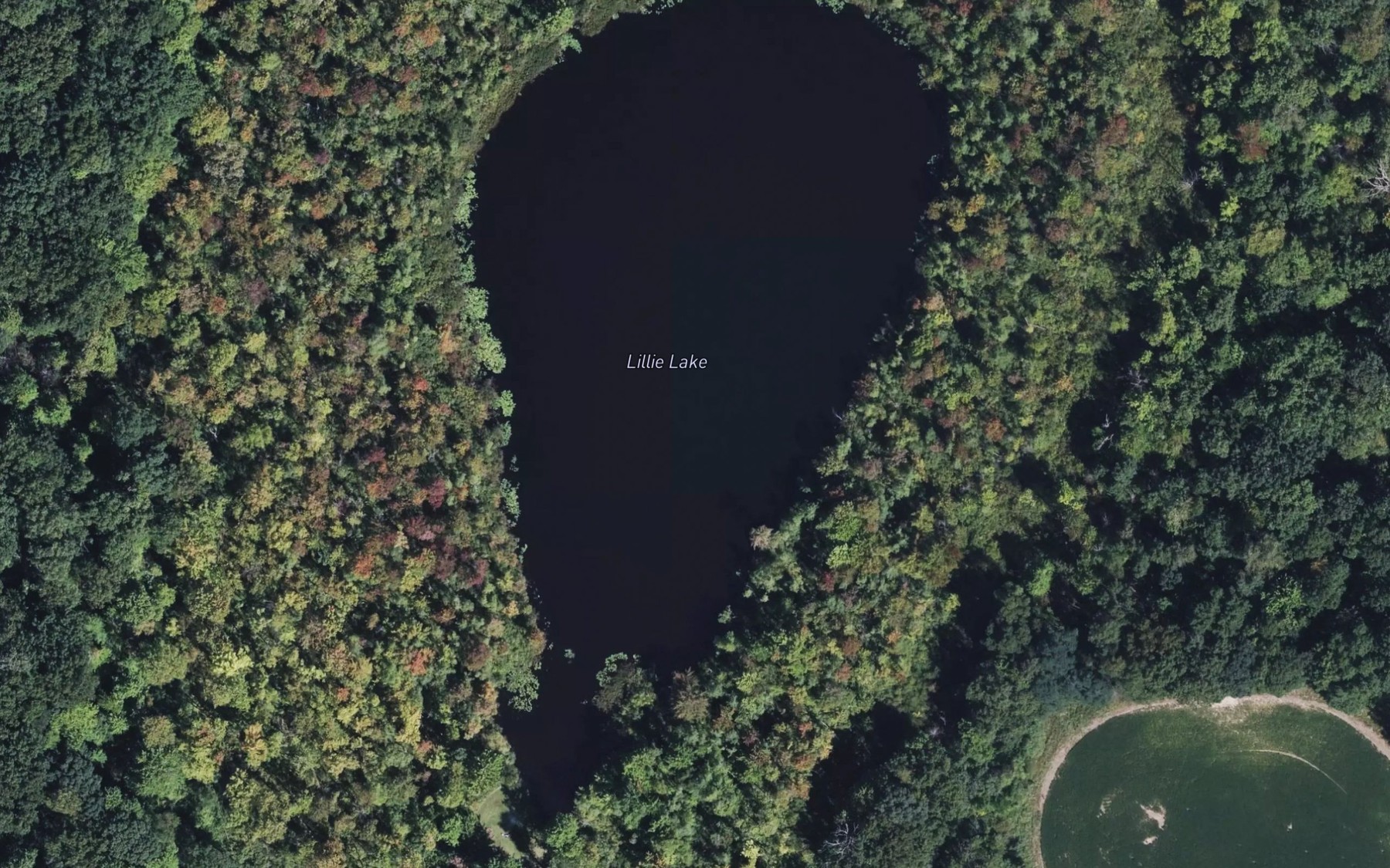 Satellite map of the Lillie Lake