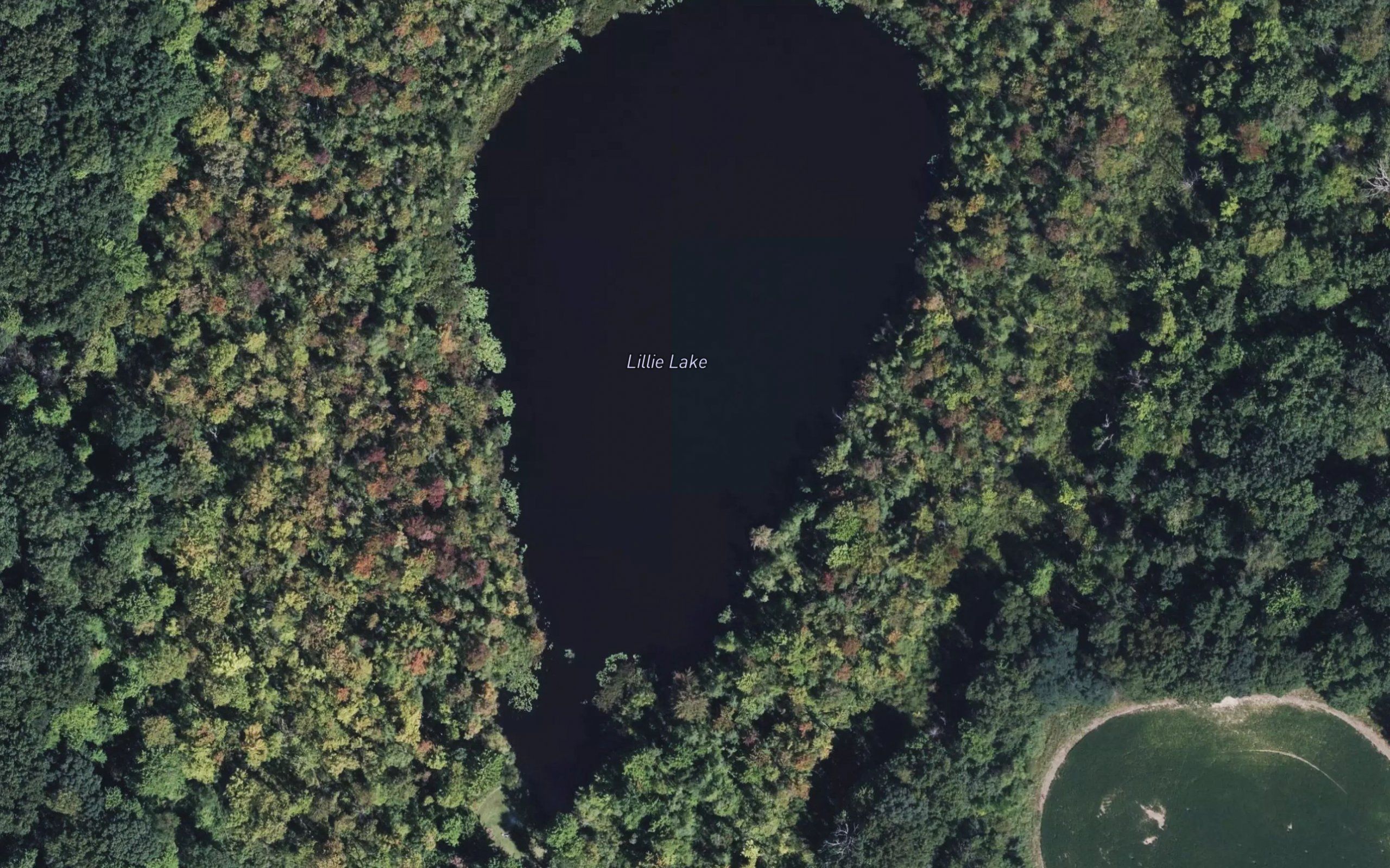 Lillie Lake
