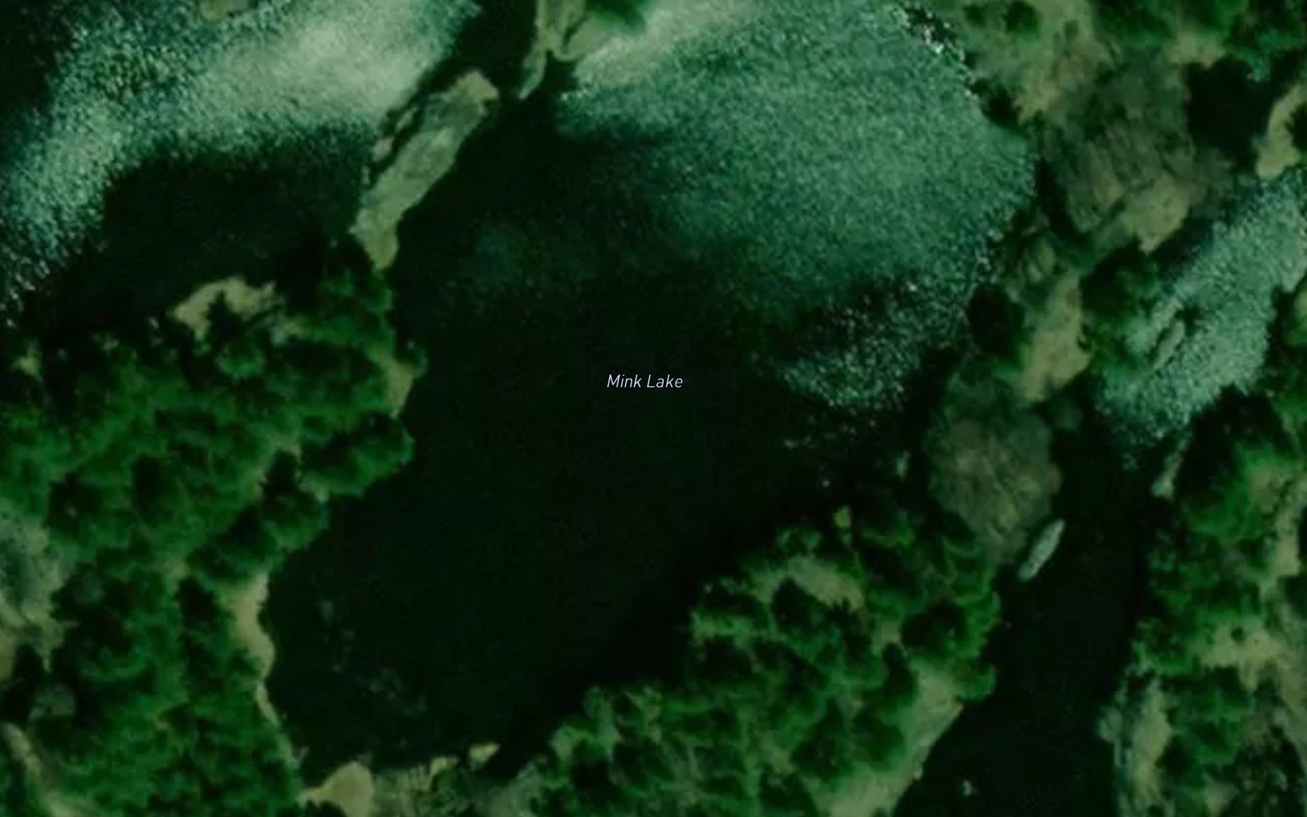 Mink Lake