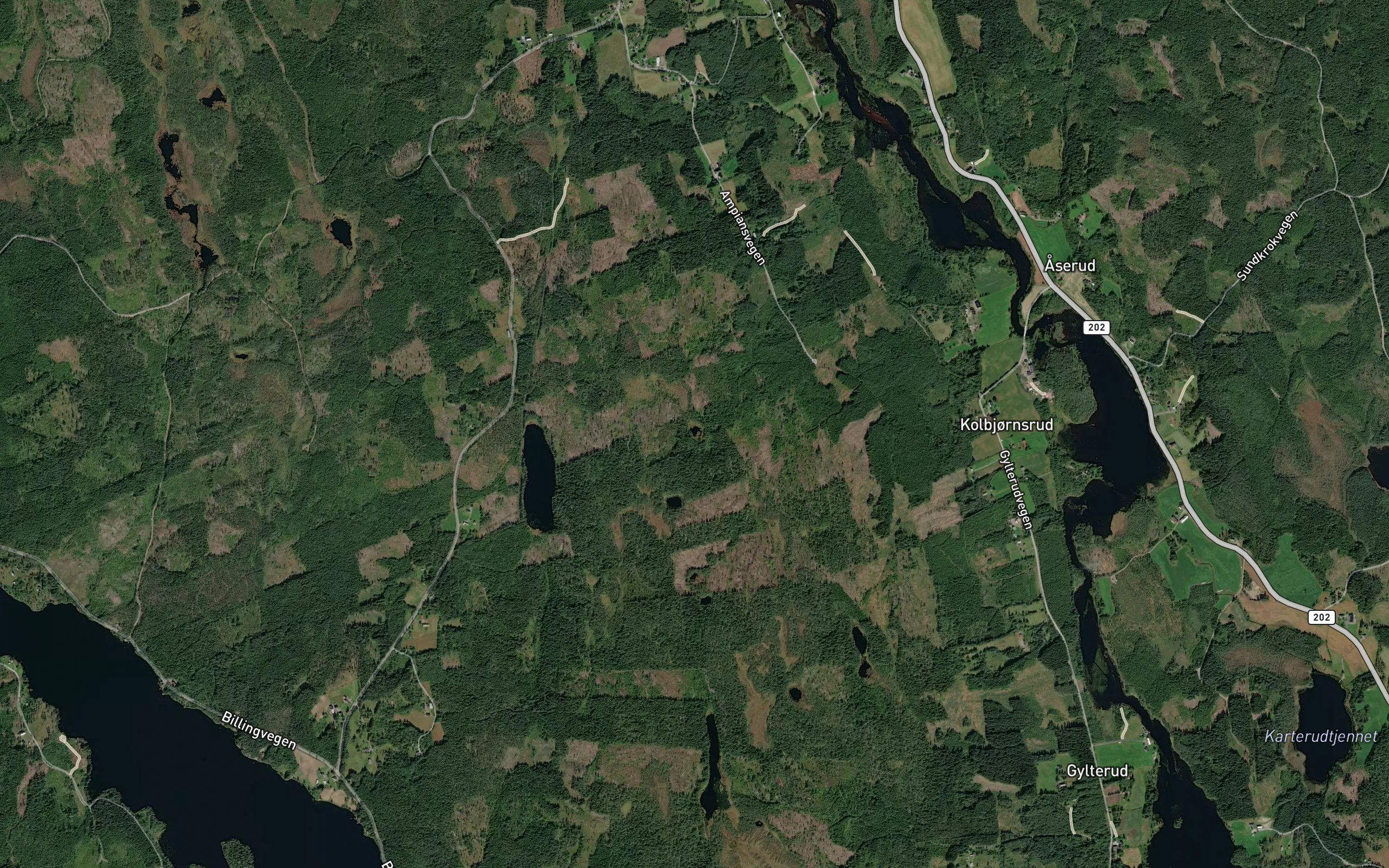 Fuglemyrdolpa