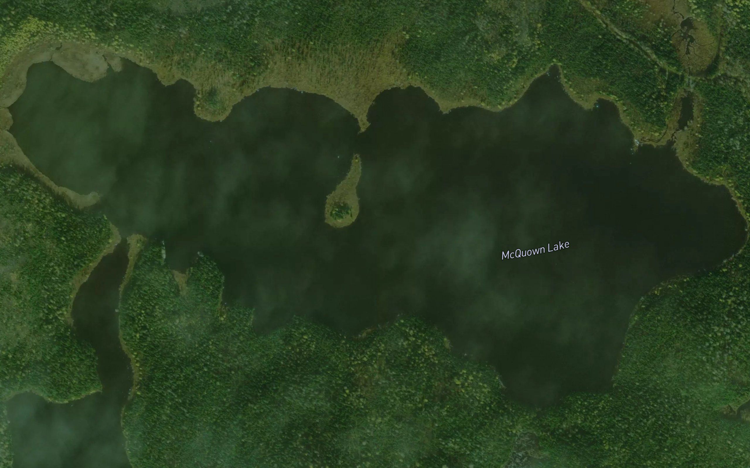 McQuown Lake