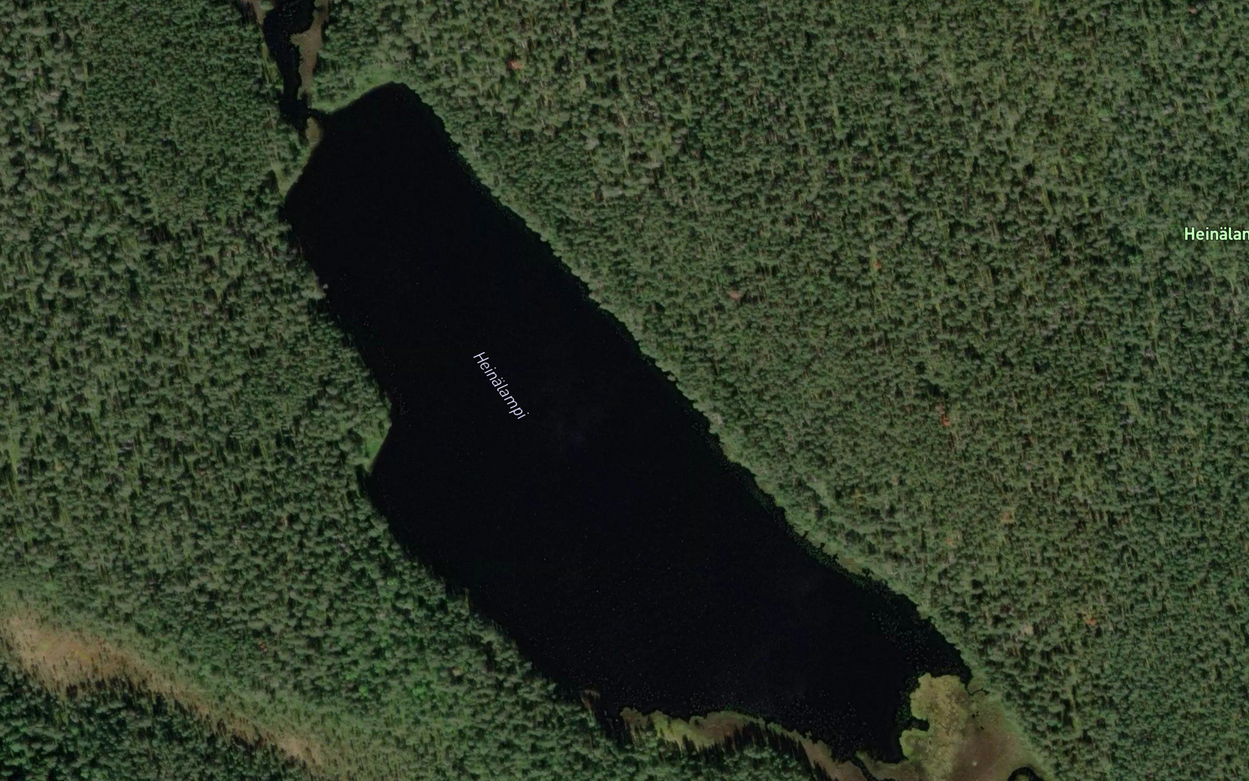 Heinalampi