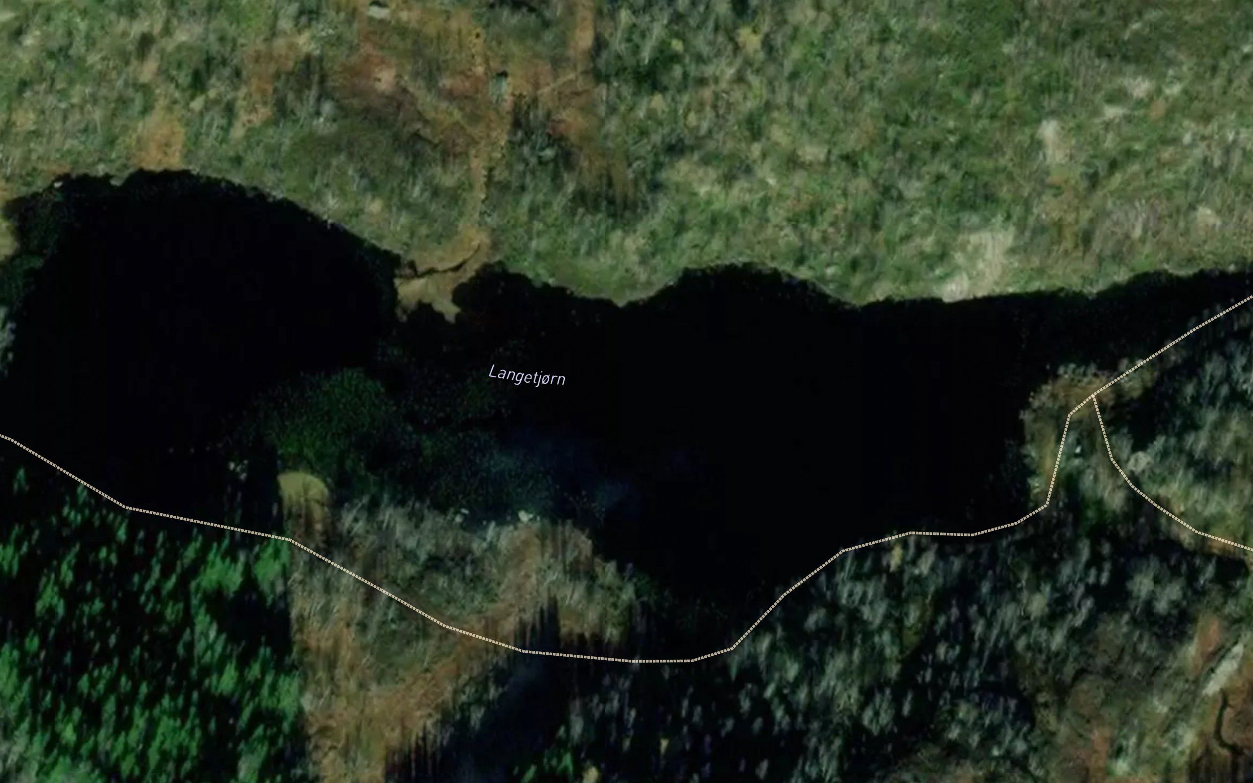 Langetjonn