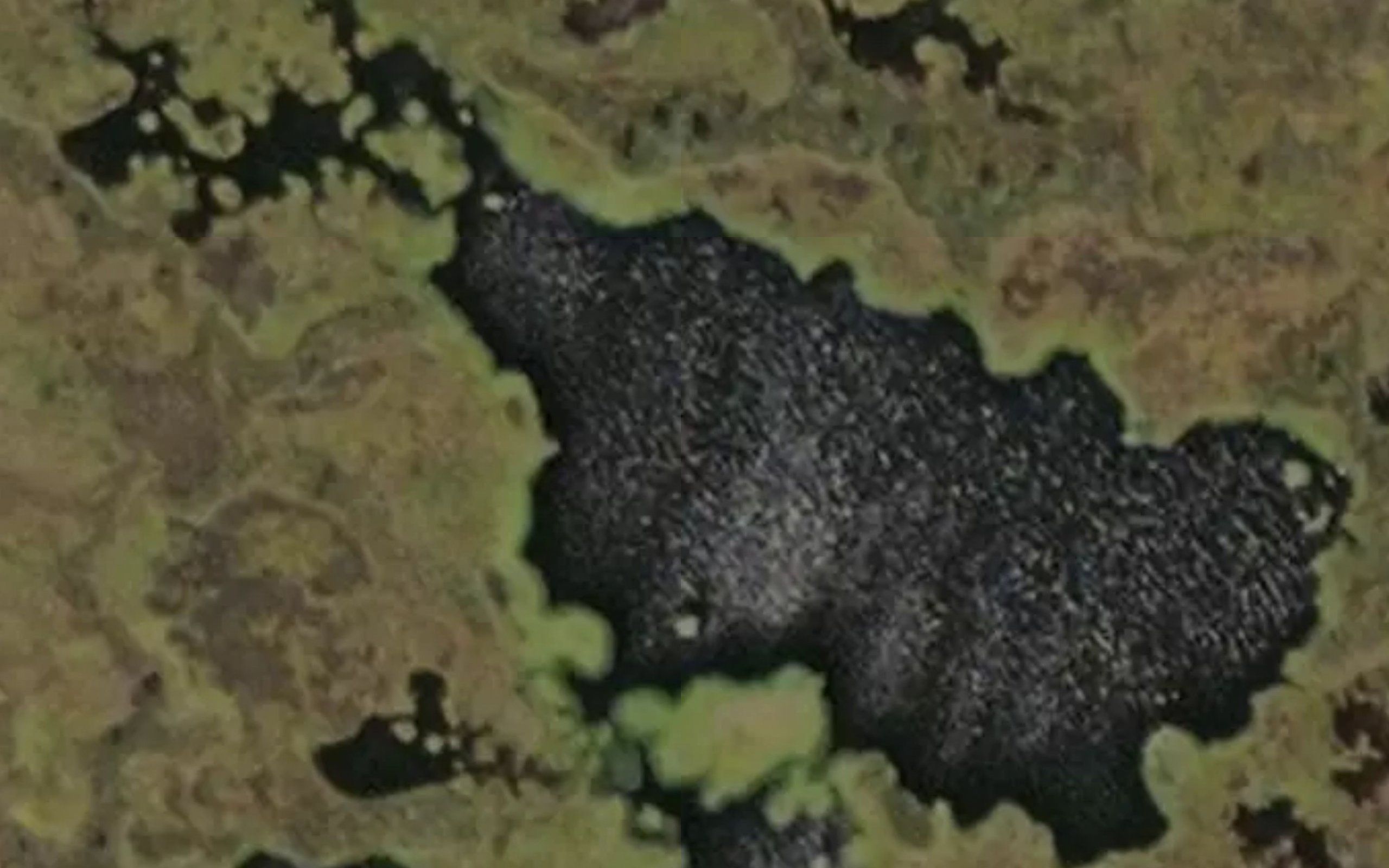 Kakkurilammit
