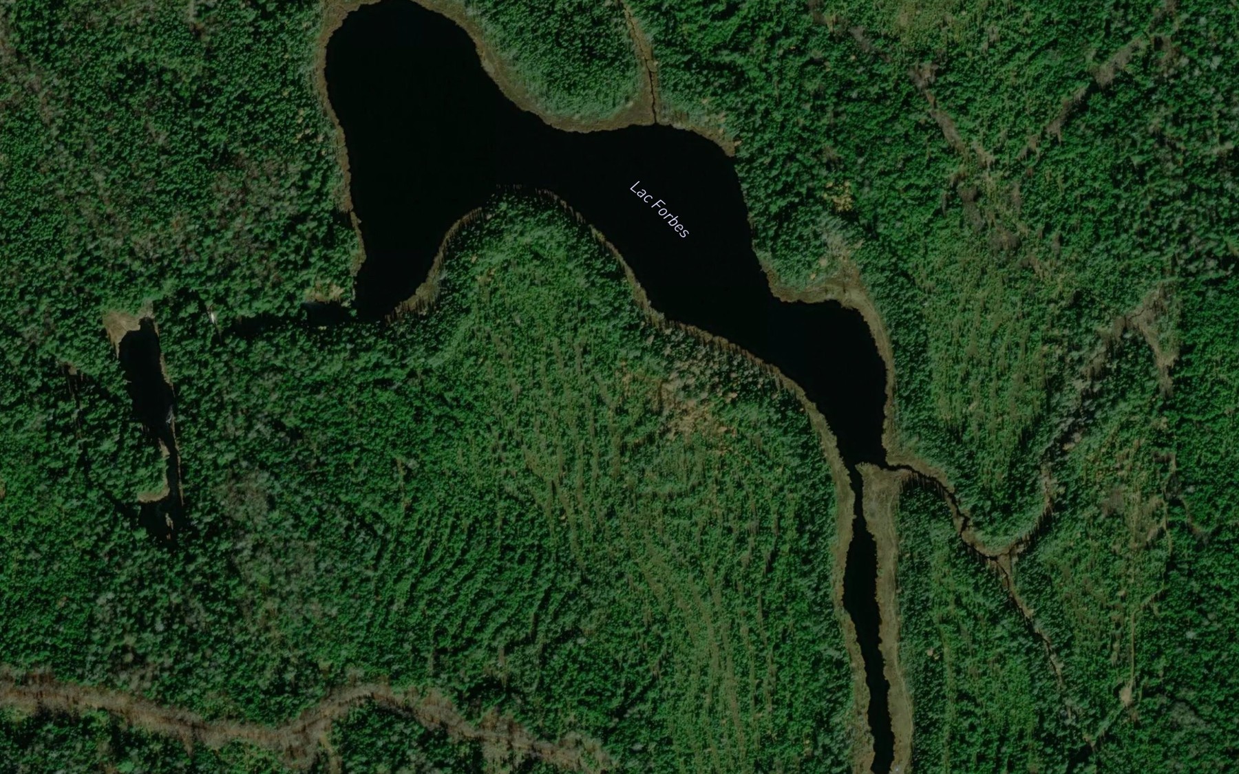 Satellite map of the Lac Forbes