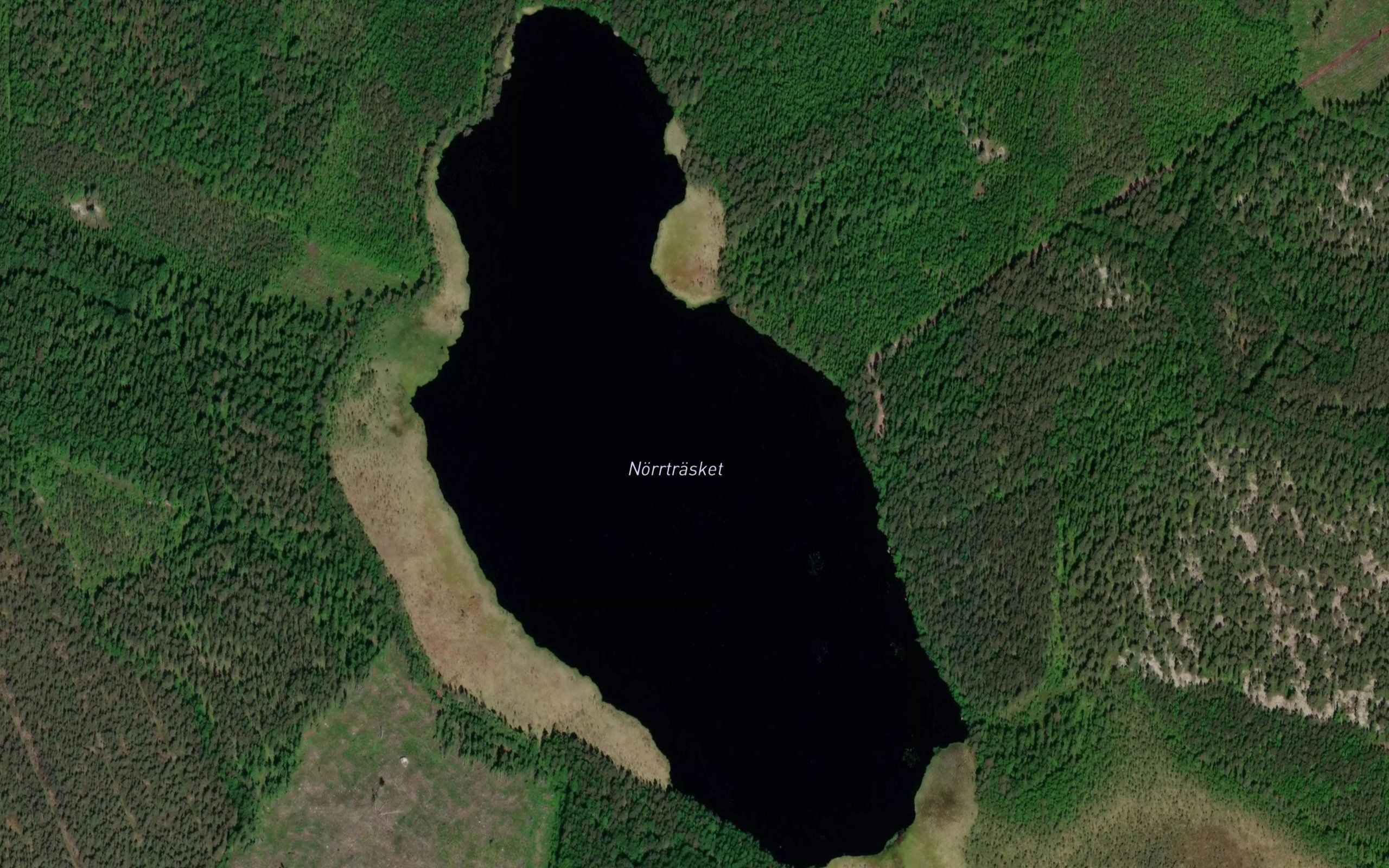 Norrtrasket