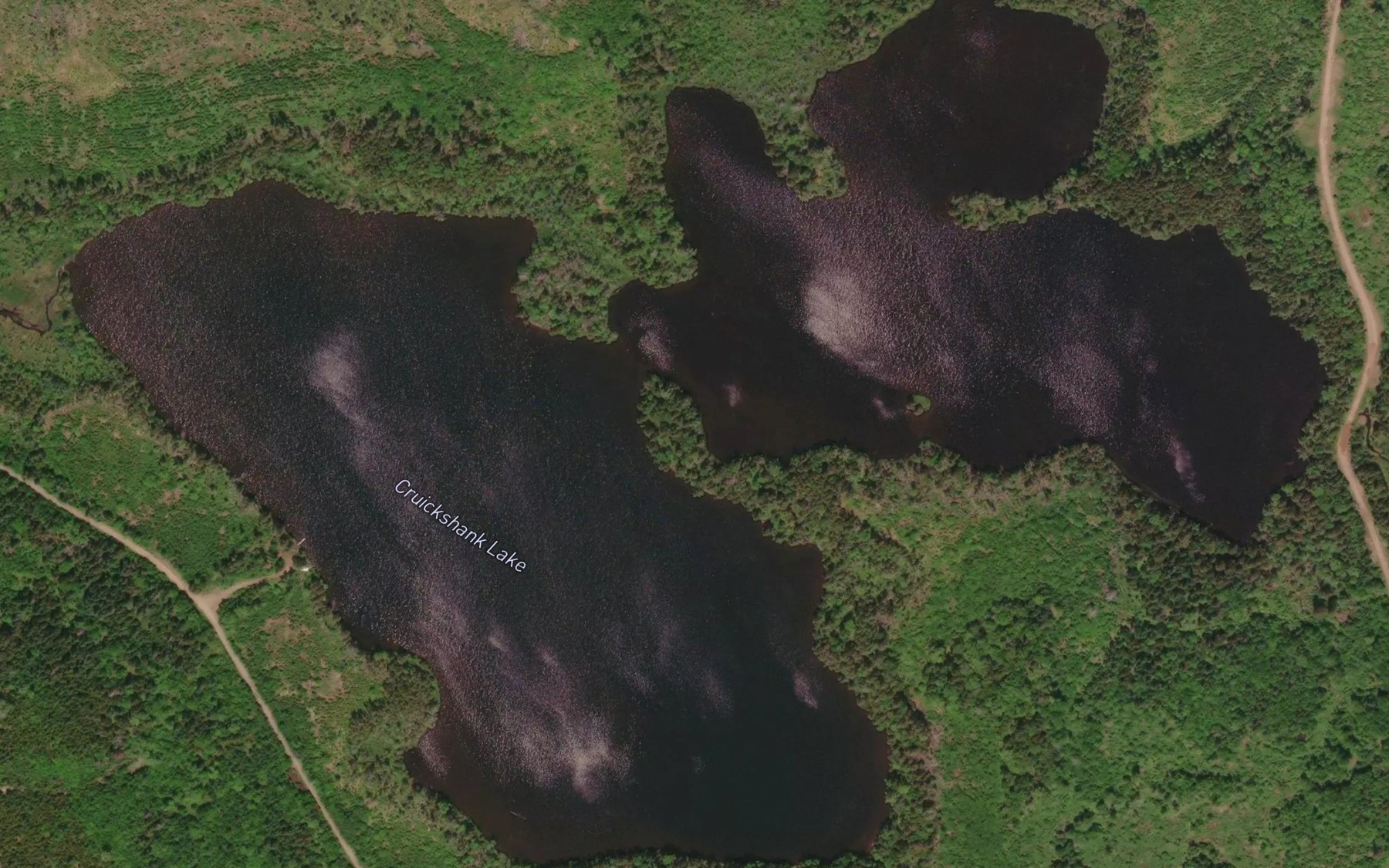 Satellite map of the Cruickshank Lake
