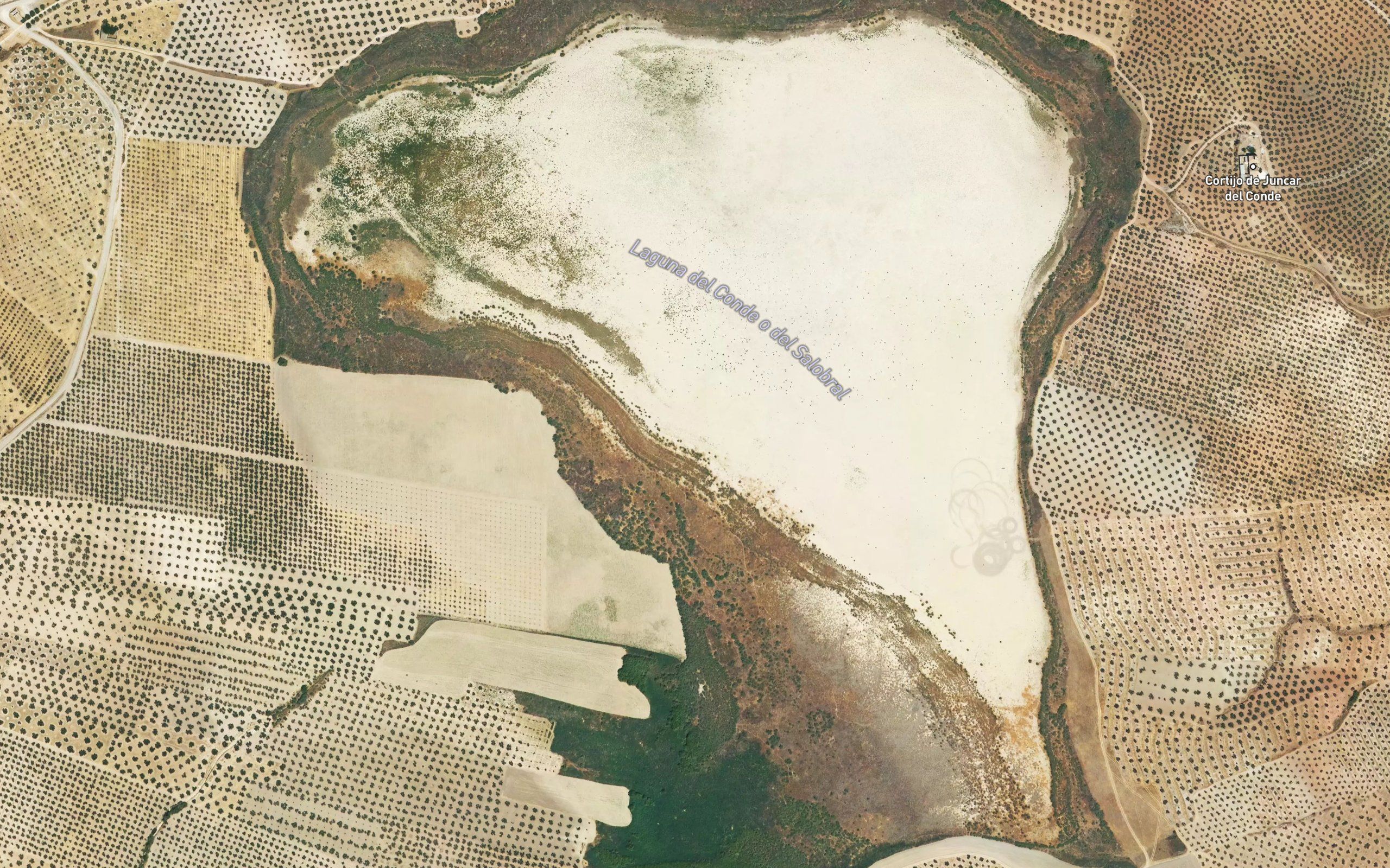 Laguna del Conde