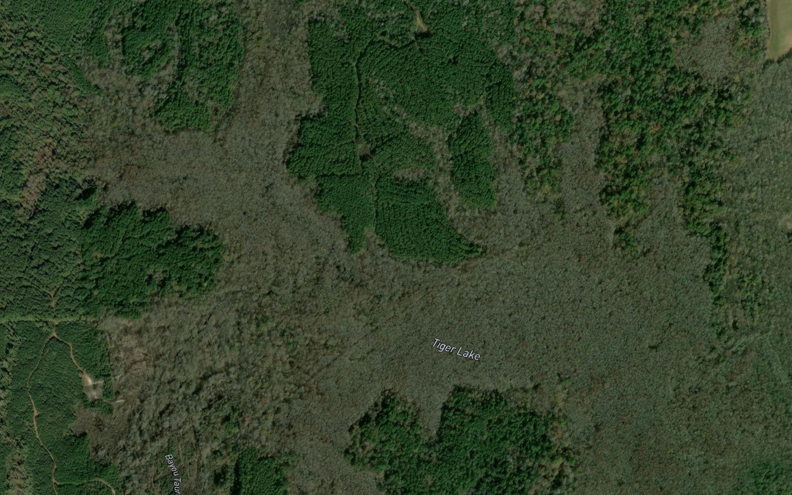 Tiger Lake