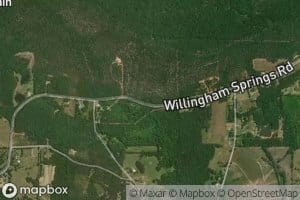Willingham Spring