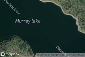 Murray Lake