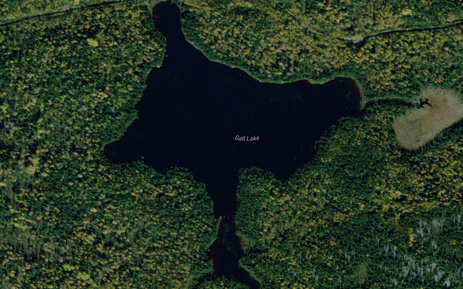 Satellite map of the Gall Lake