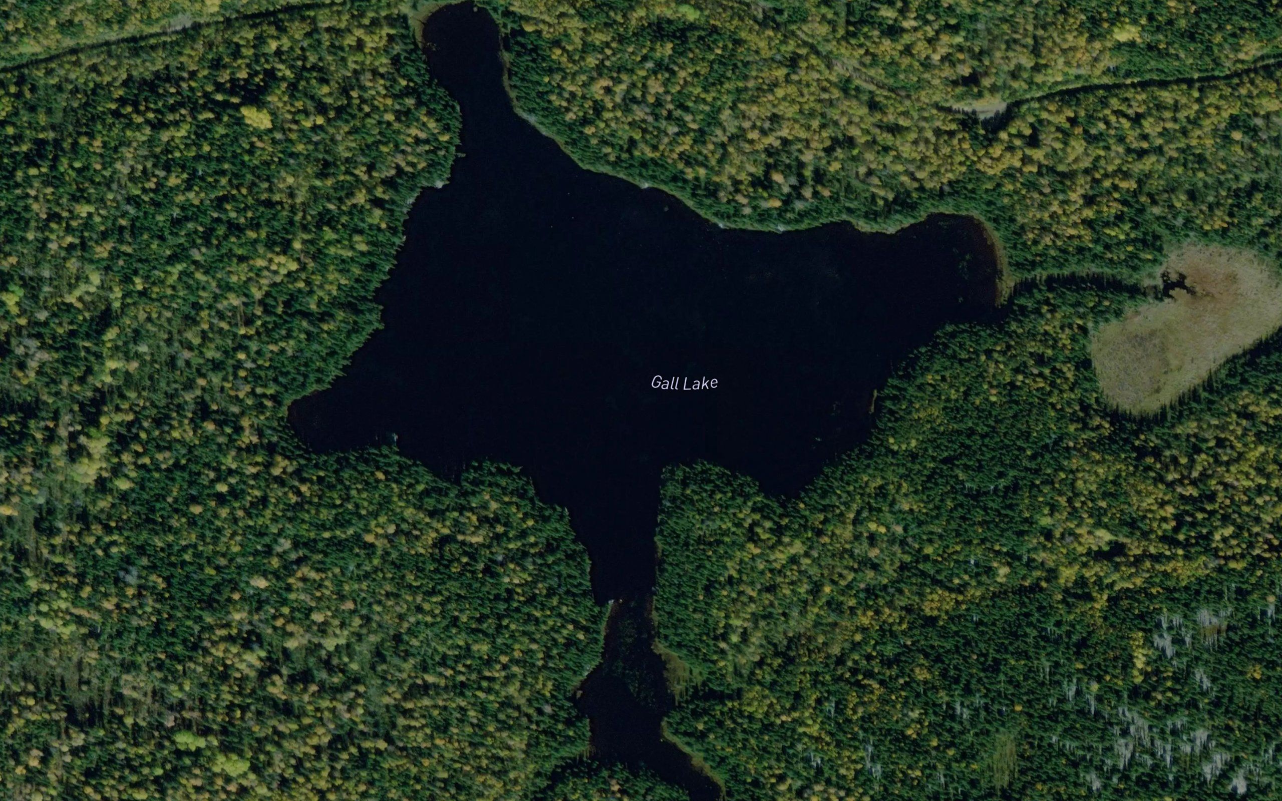 Gall Lake
