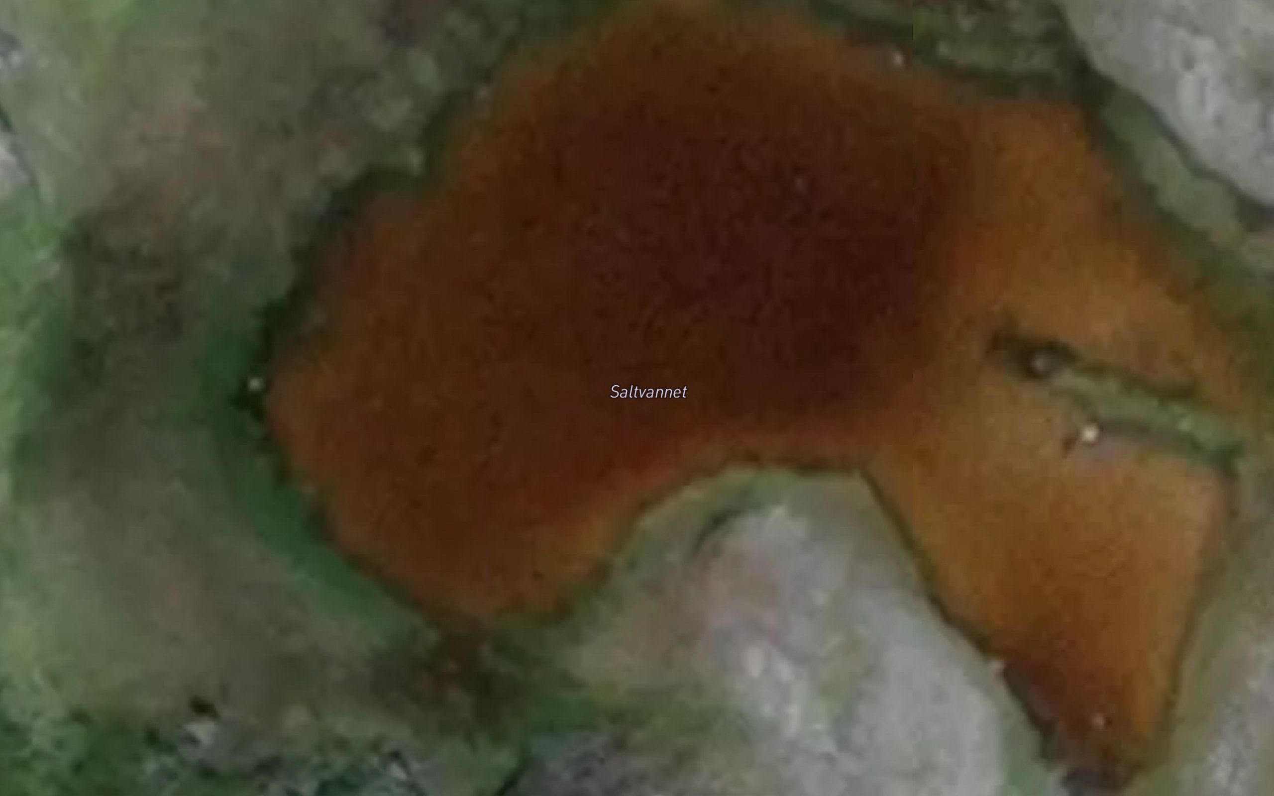 Saltvatnet