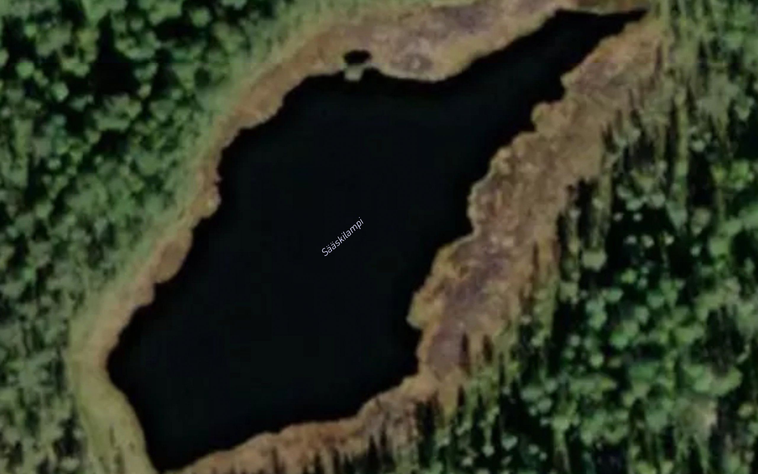Saaskilampi
