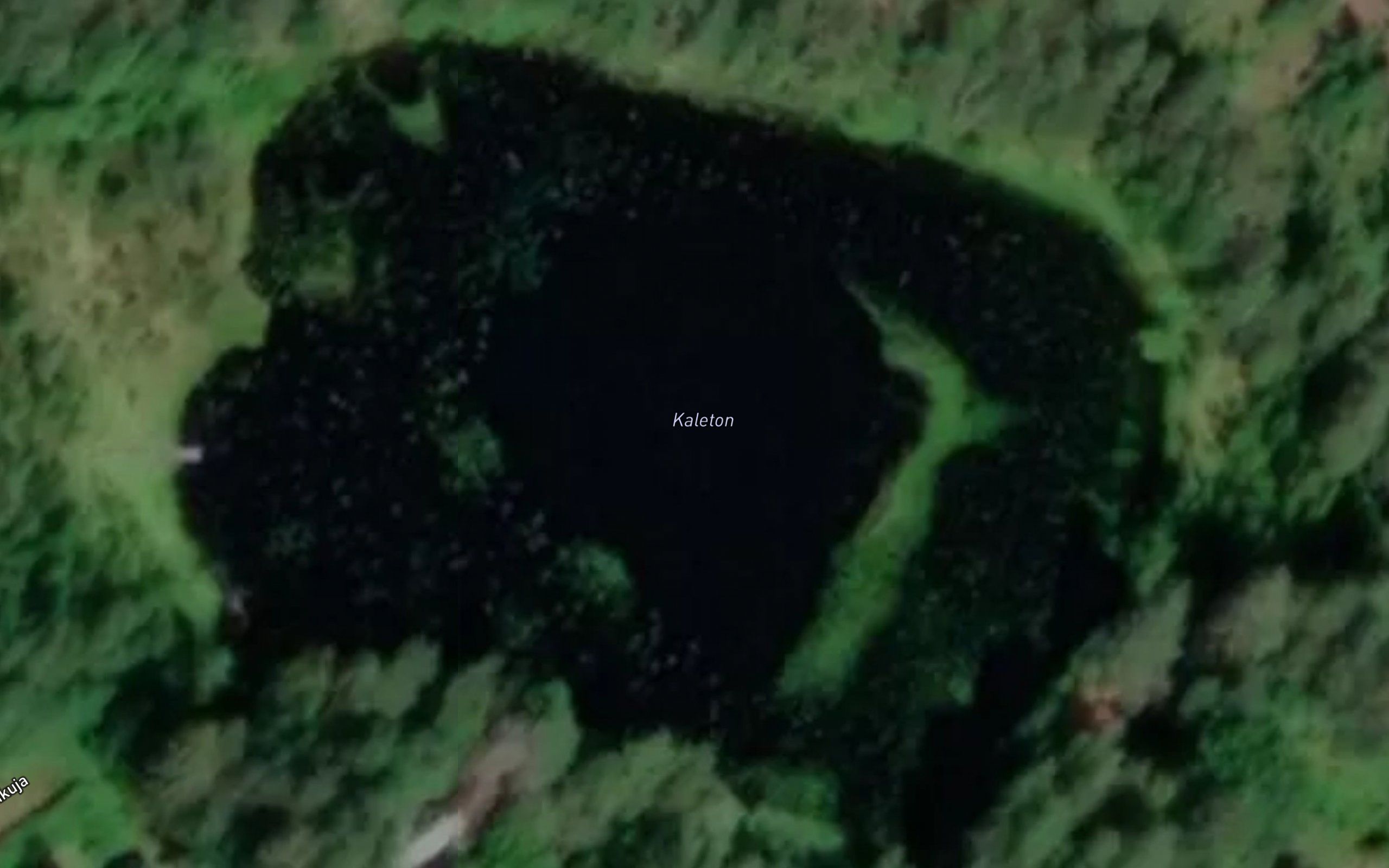 Kaleton