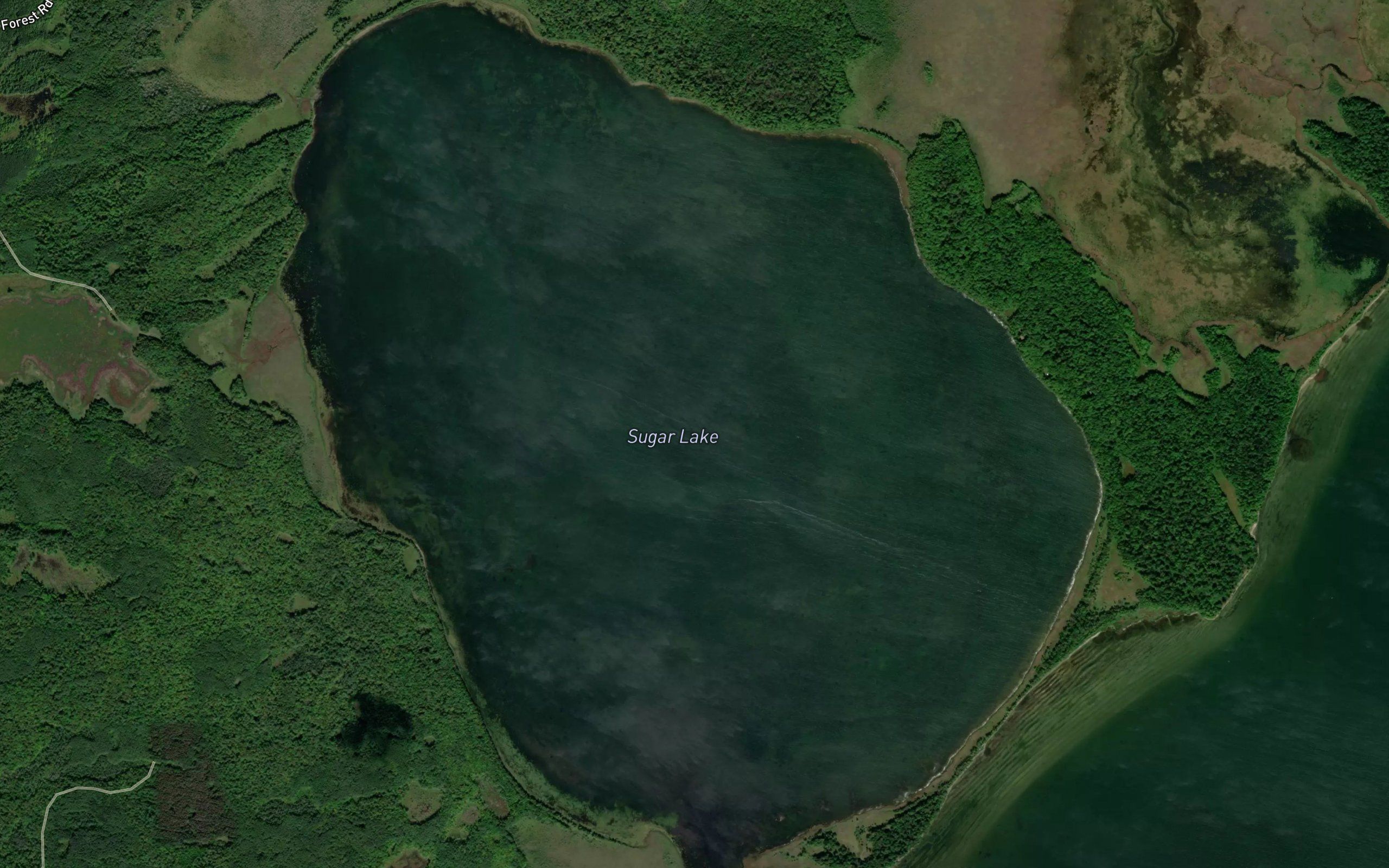 Sugar Lake