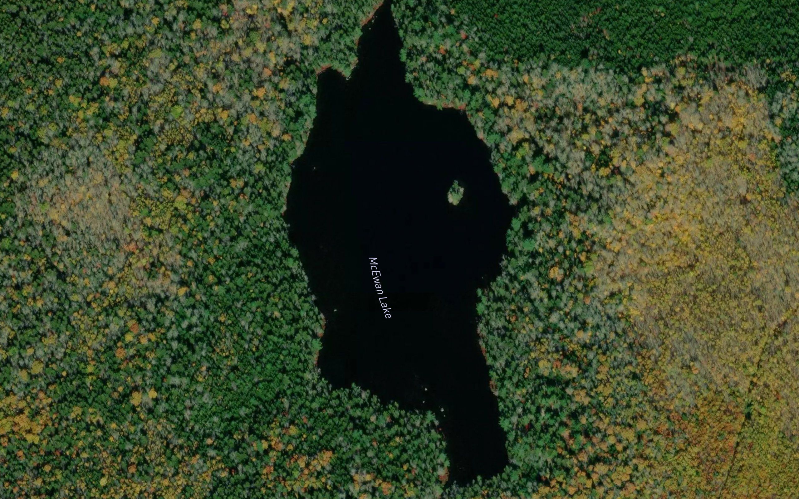McEwan Lake