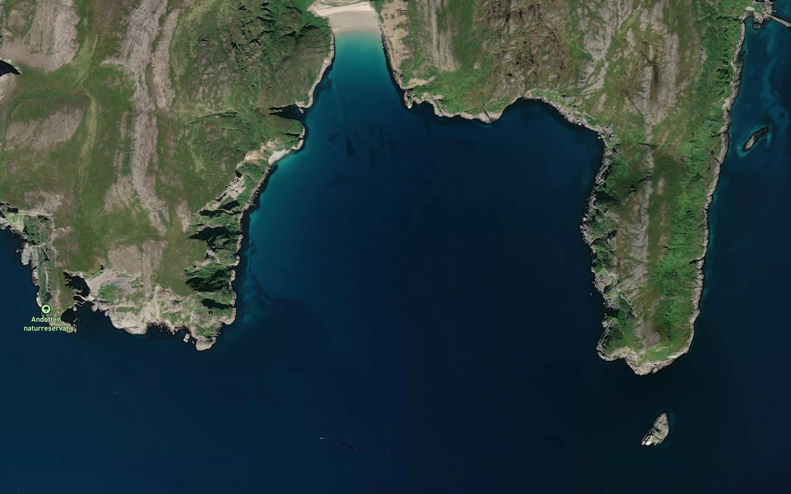 Finnkonvika