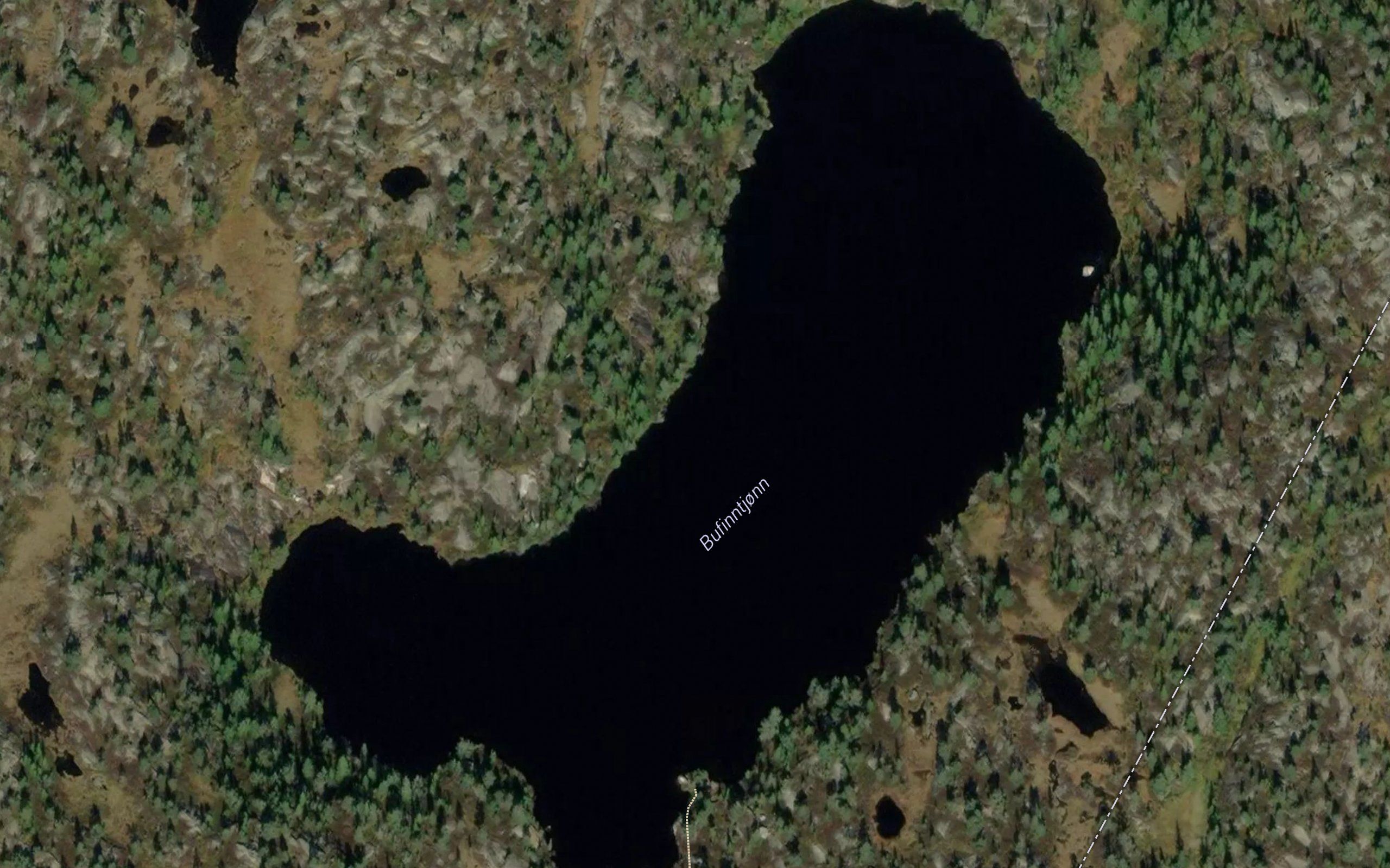 Bufinntjorn