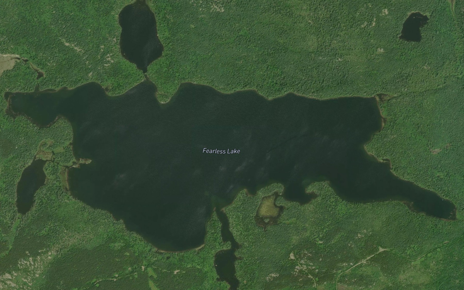 Satellite map of the Fearless Lake