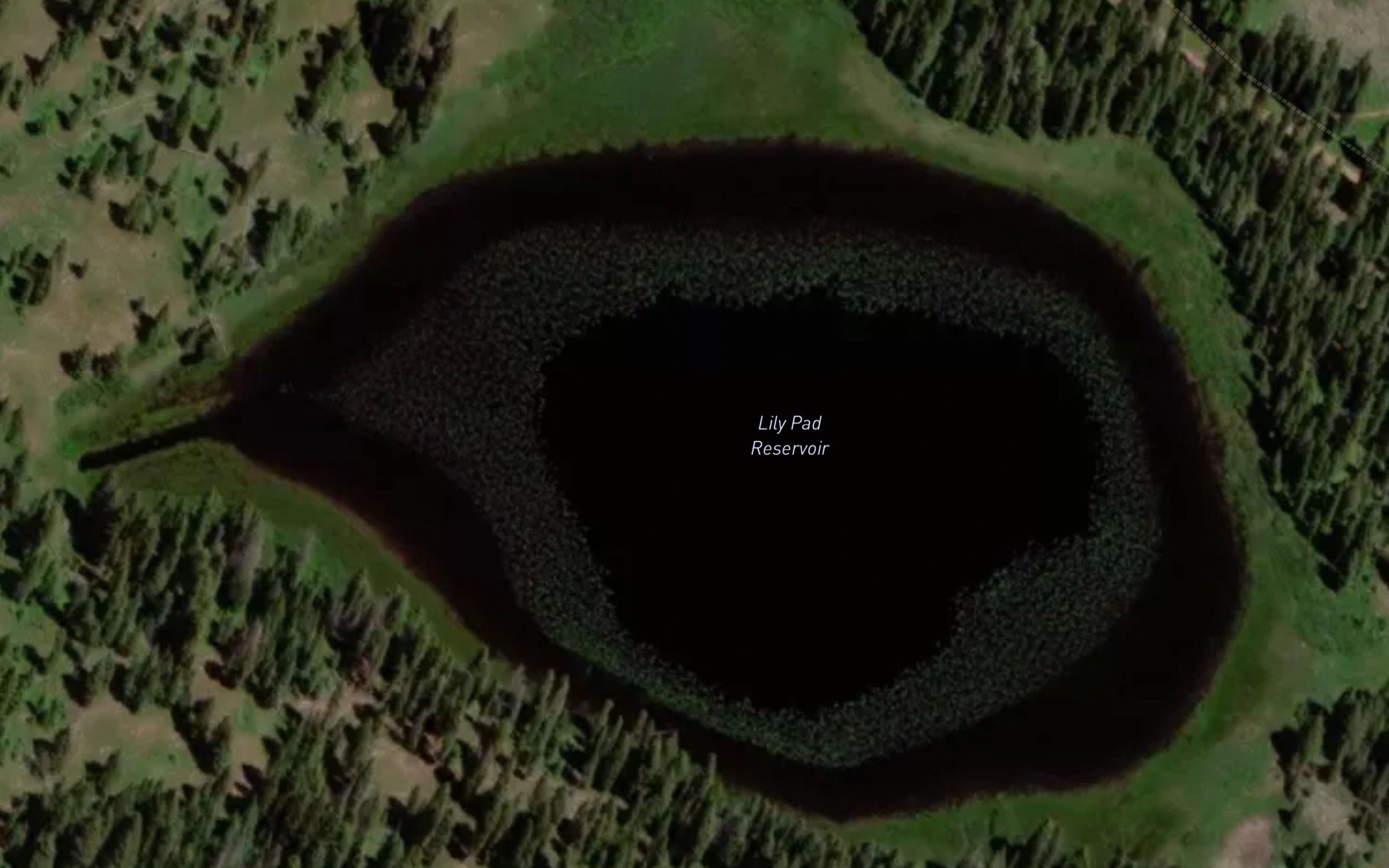 Lily Pad Reservoir