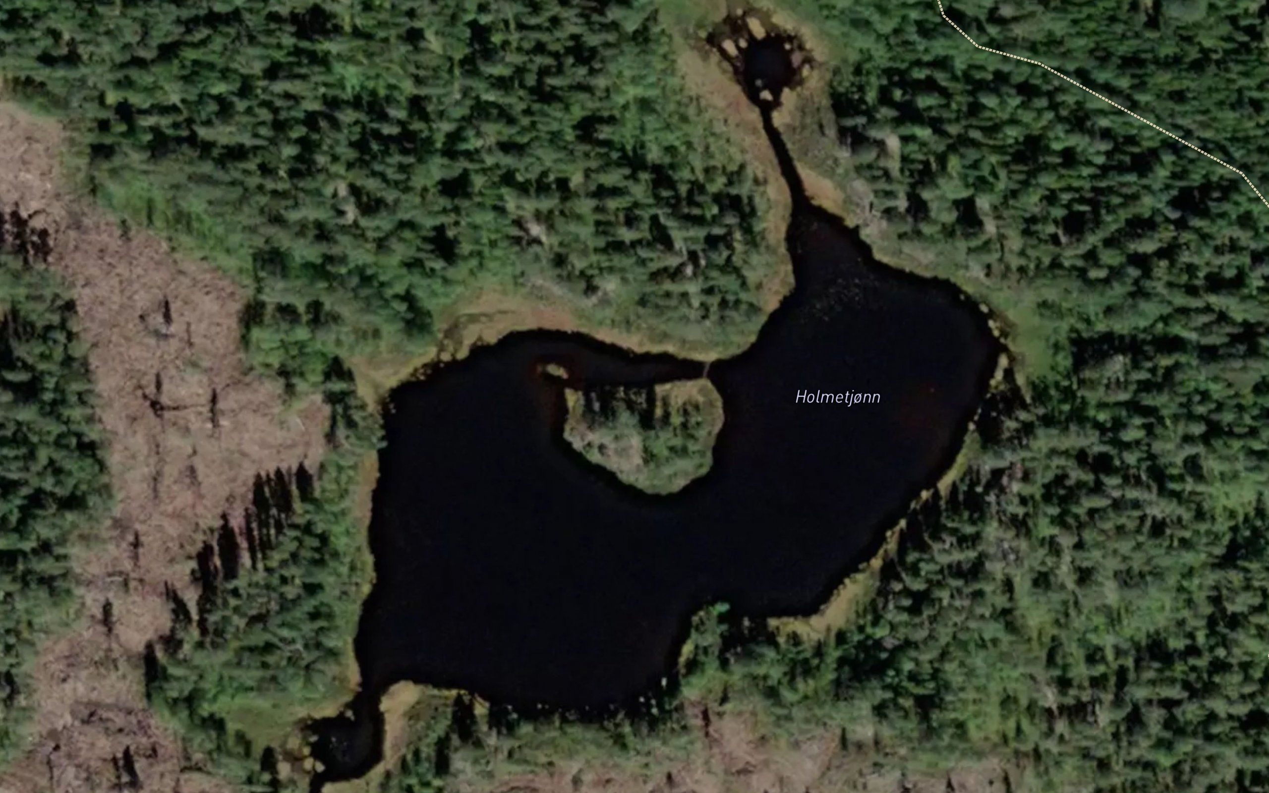 Holmetjorn