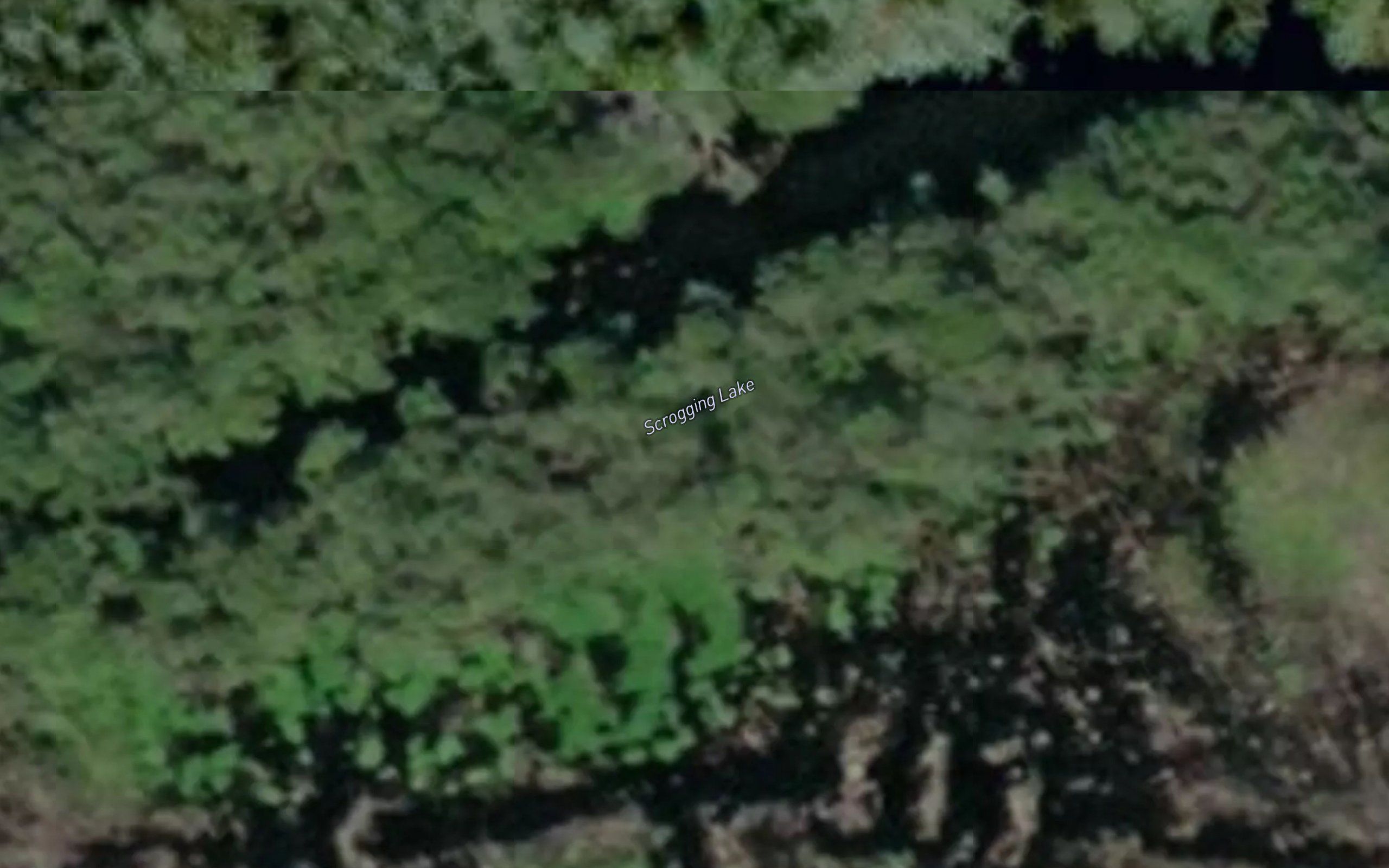 Scrogging Lake