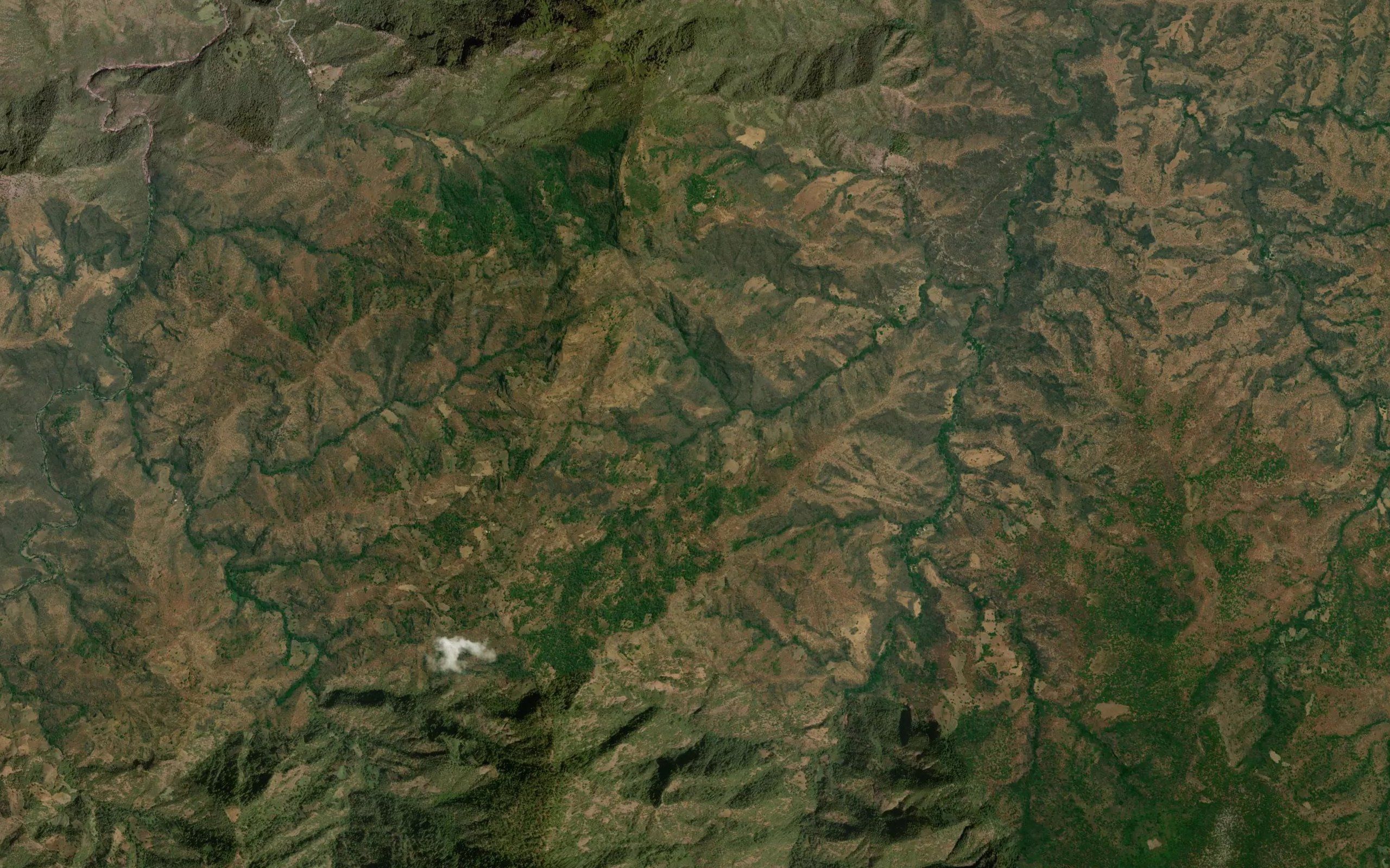 Barranca Chiriaguas