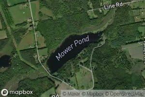 Mower Pond