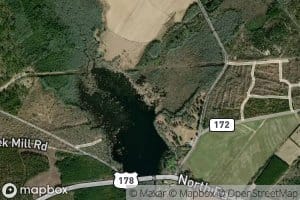 Little Bull Swamp Creek