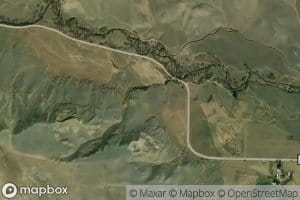 Lily Ditch