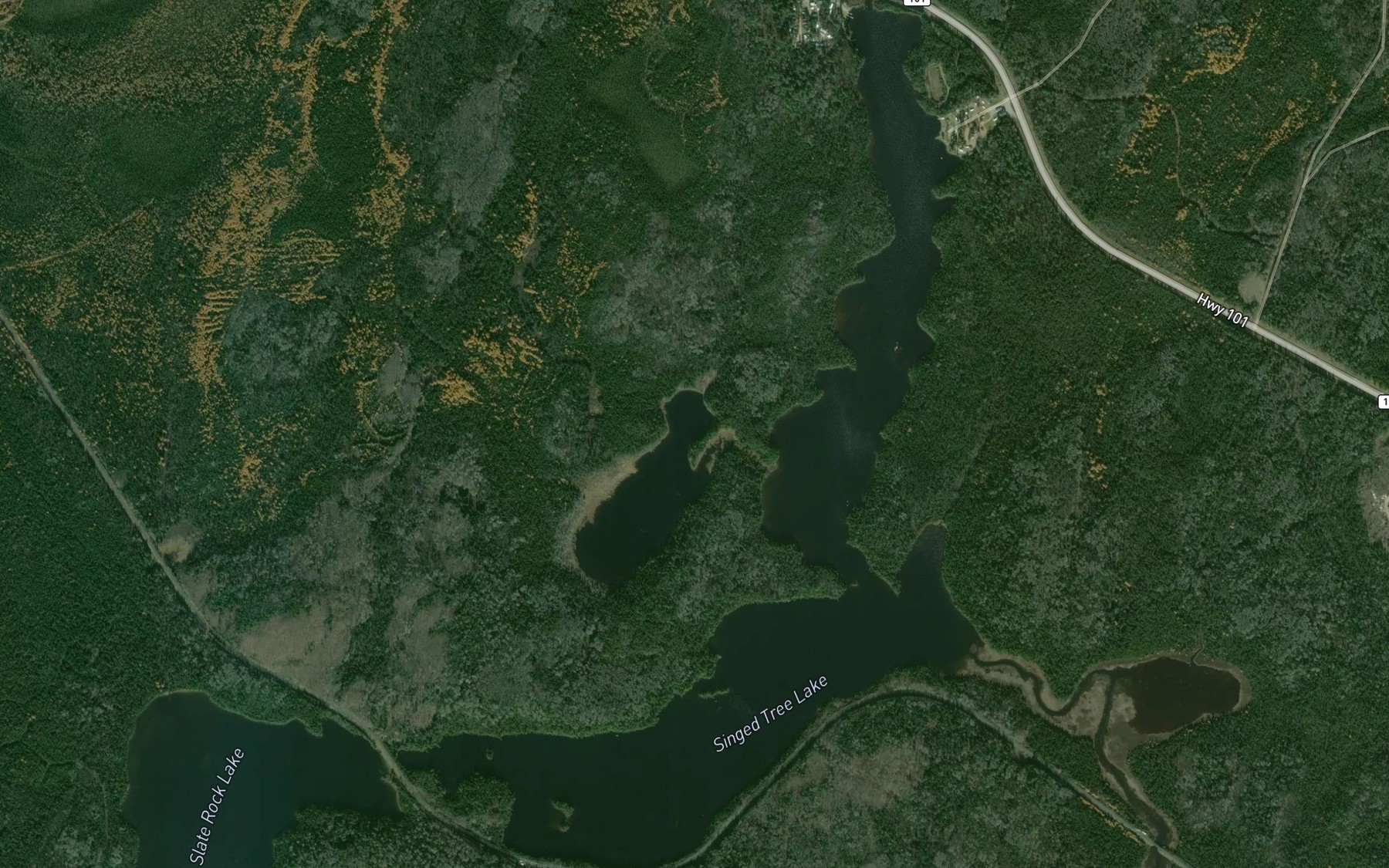 Satellite map of the Singed Tree Lake
