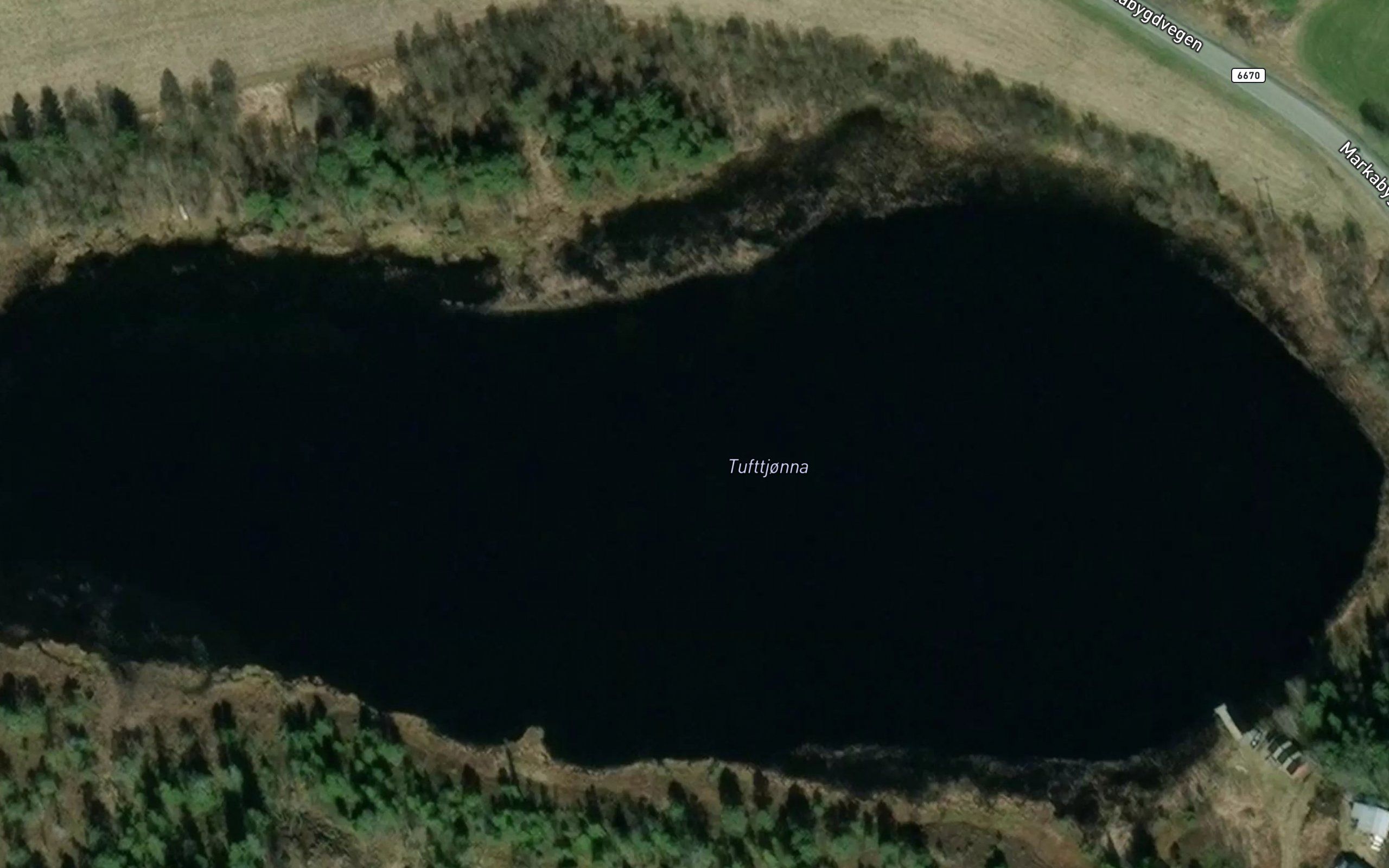 Tufttjorna
