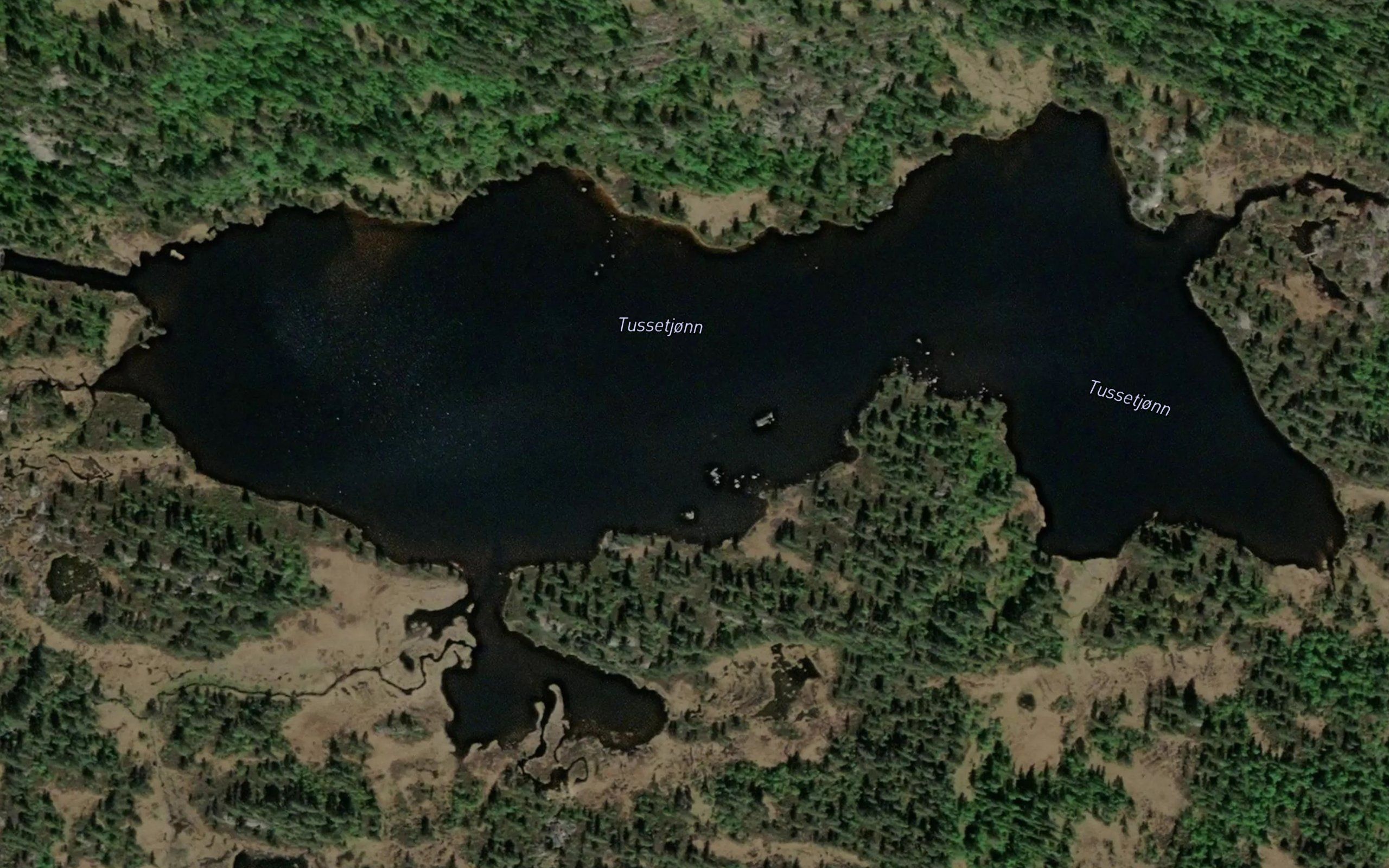 Tussetjorn