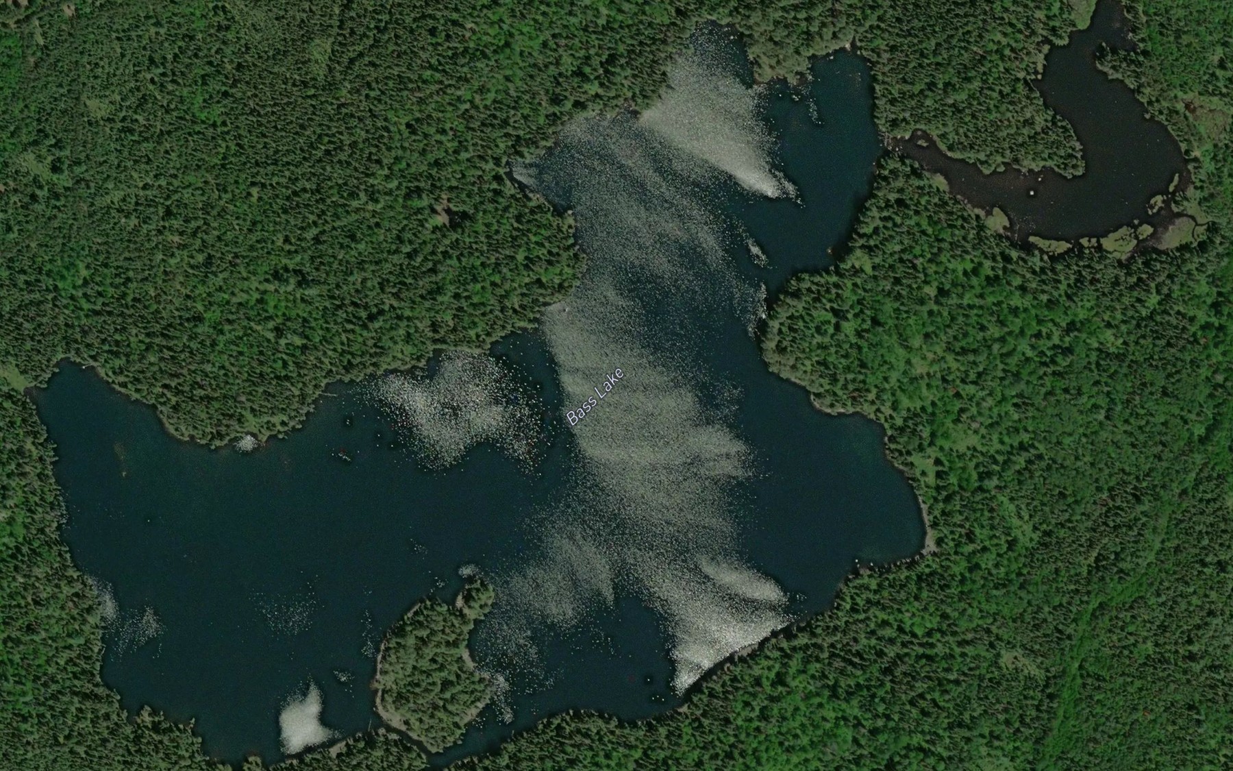 Satellite map of the Bass Lake