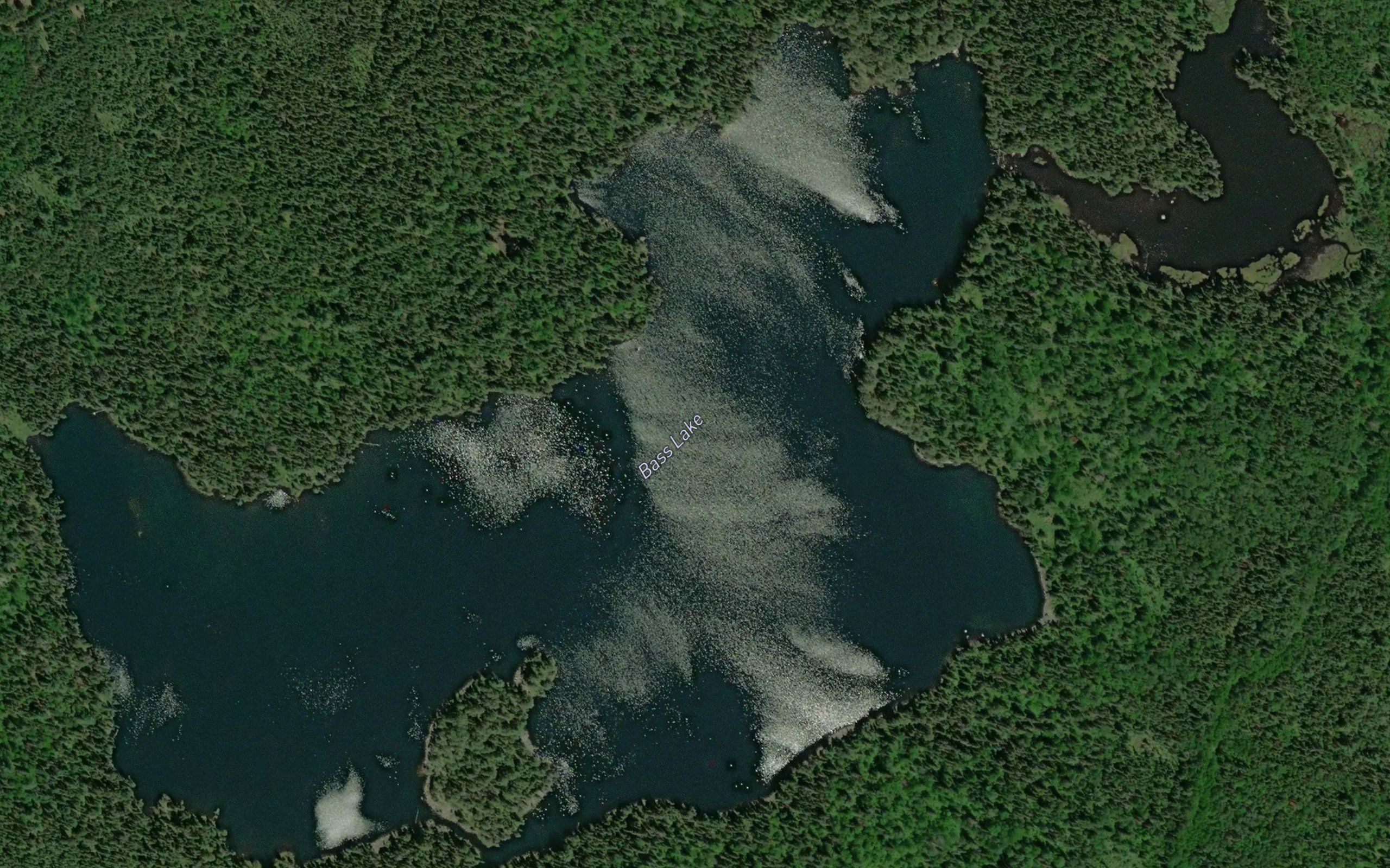 Bass Lake