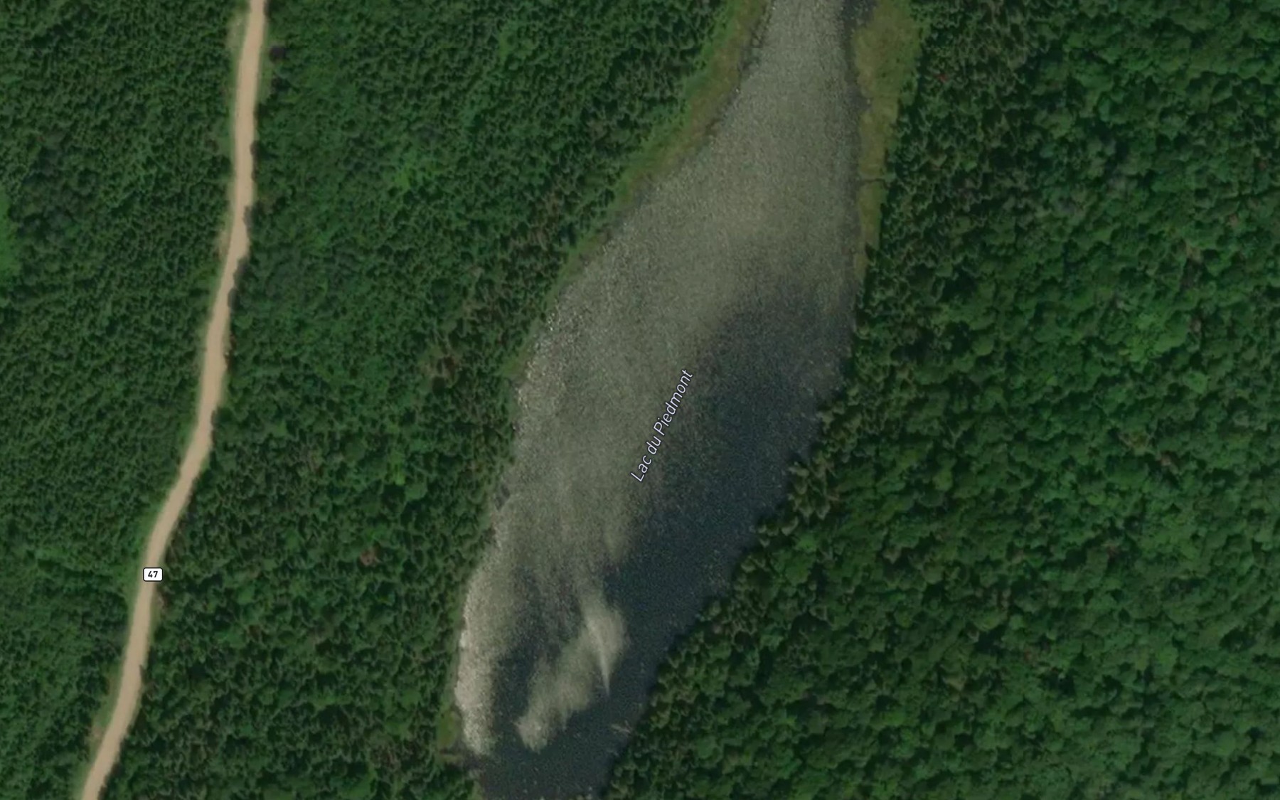 Satellite map of the Lac du Piedmont