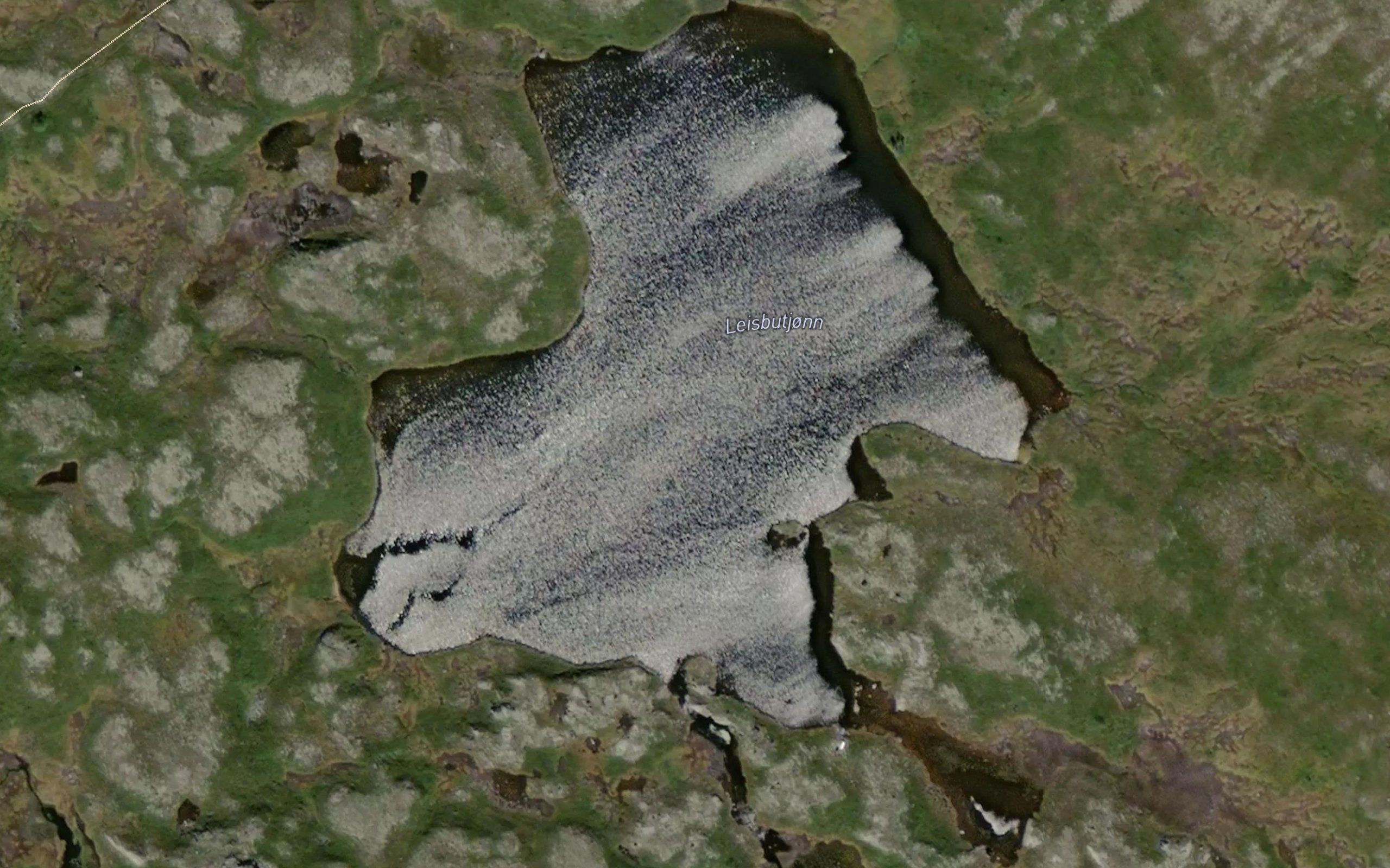Leisbutjorn