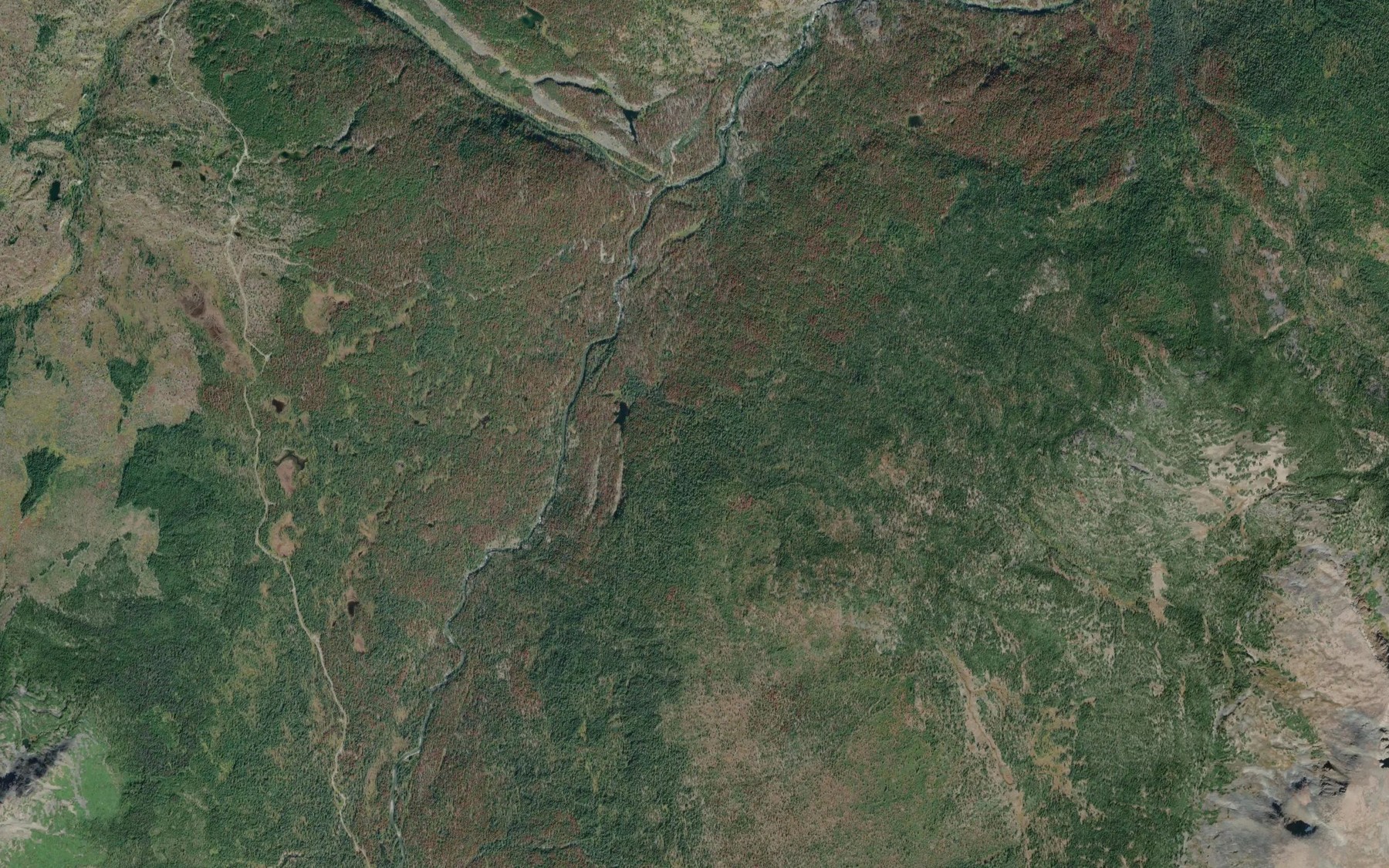 Satellite map of the McConnell Creek