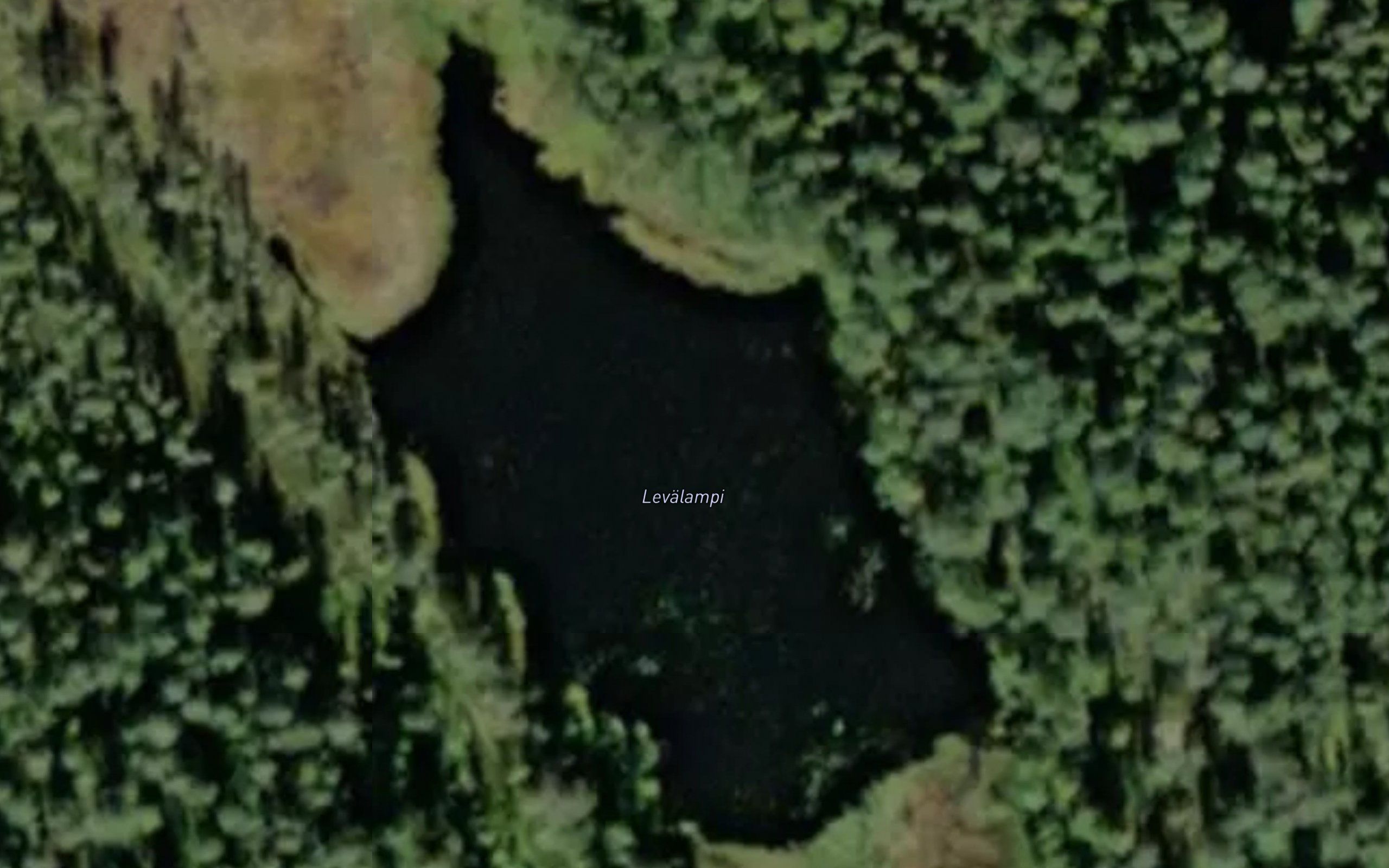 Levalampi